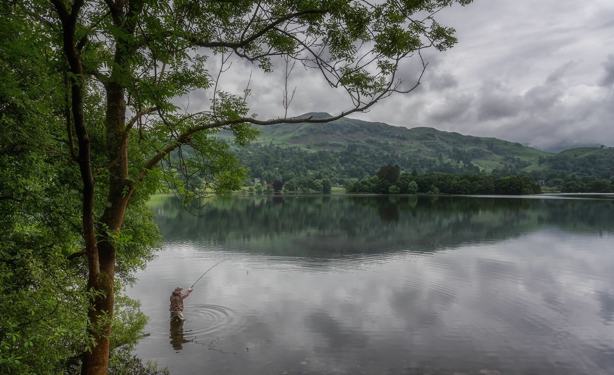 Where everything is harmony