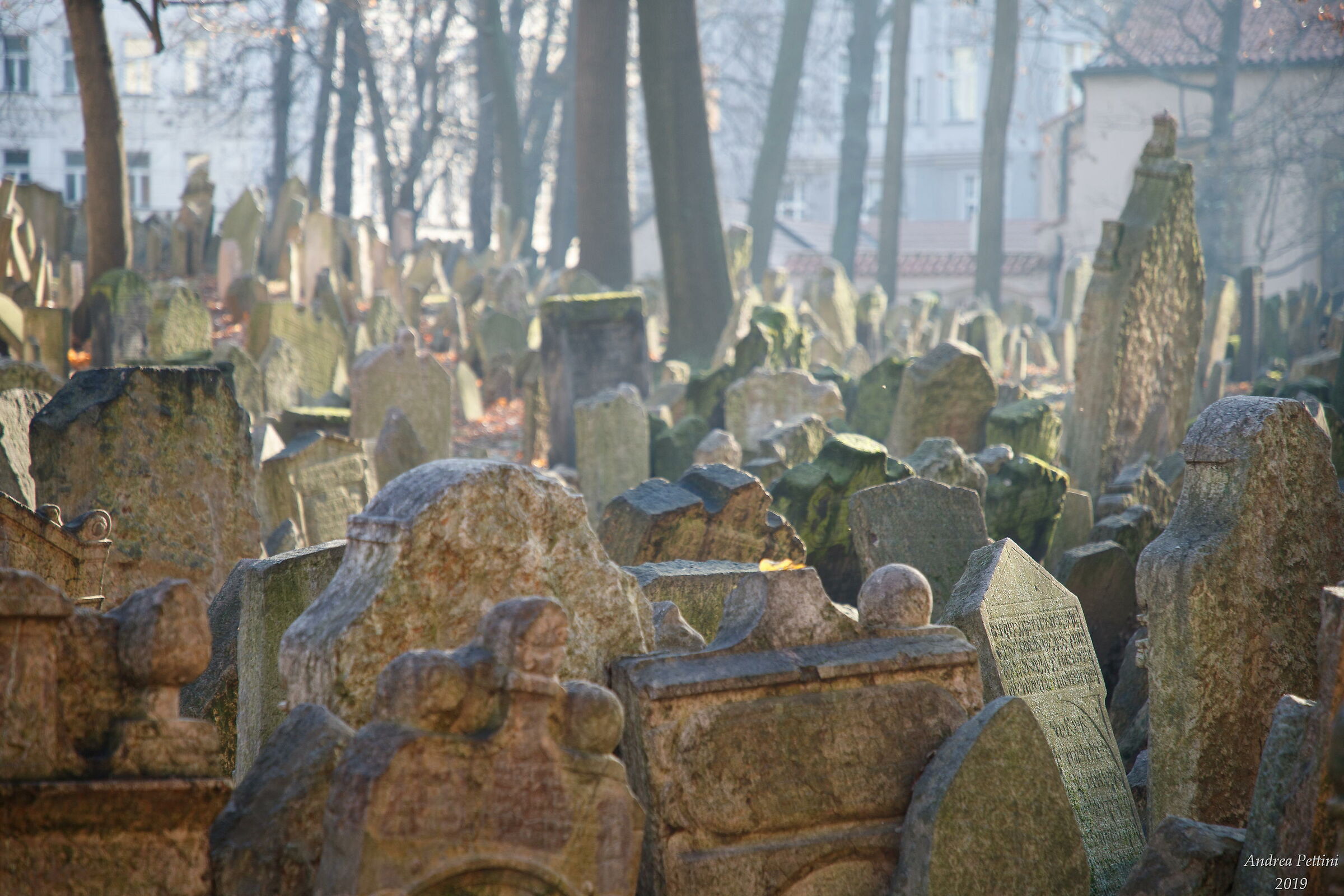 Jewish Cemetery