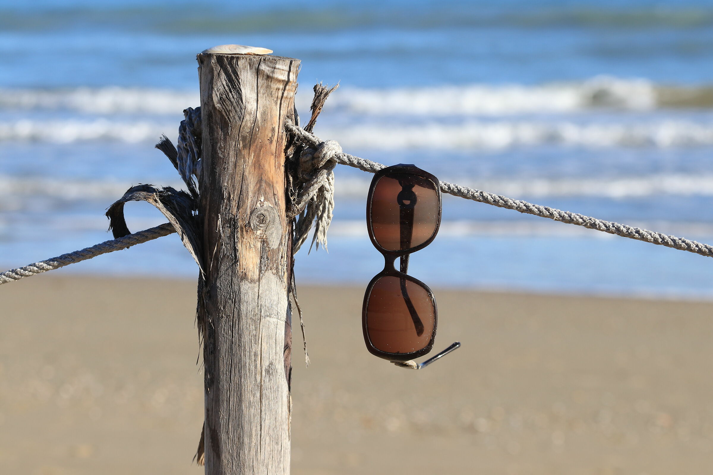 Dimenticanza balneare?