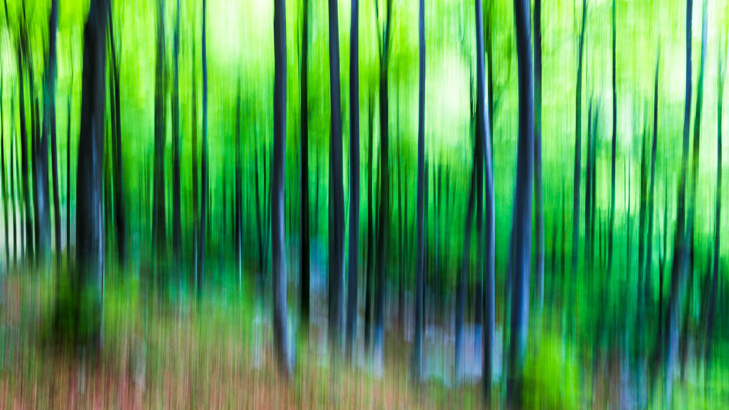 Abstract woodland