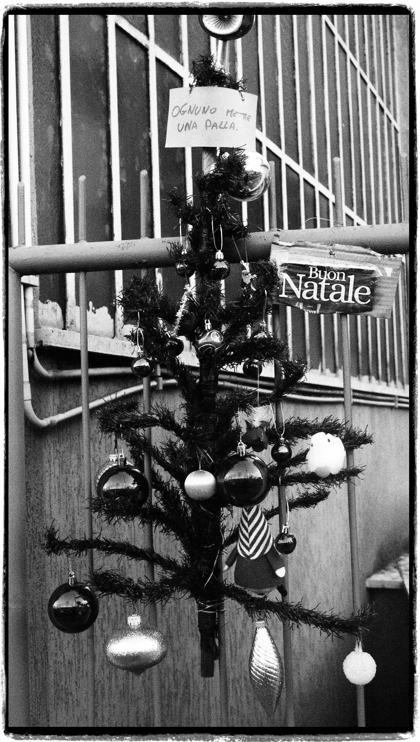 Ognuno metta una palla