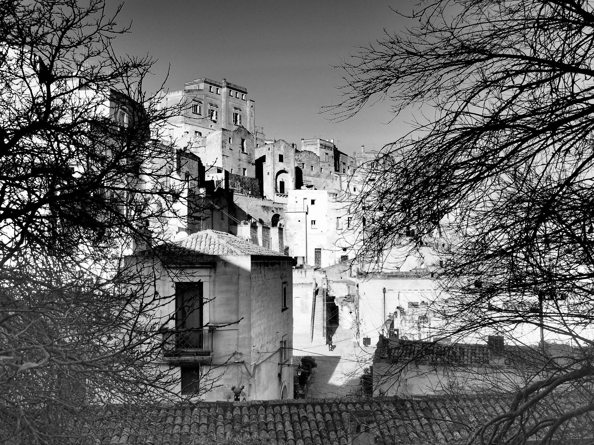 Uno scorcio di Cultura. Matera