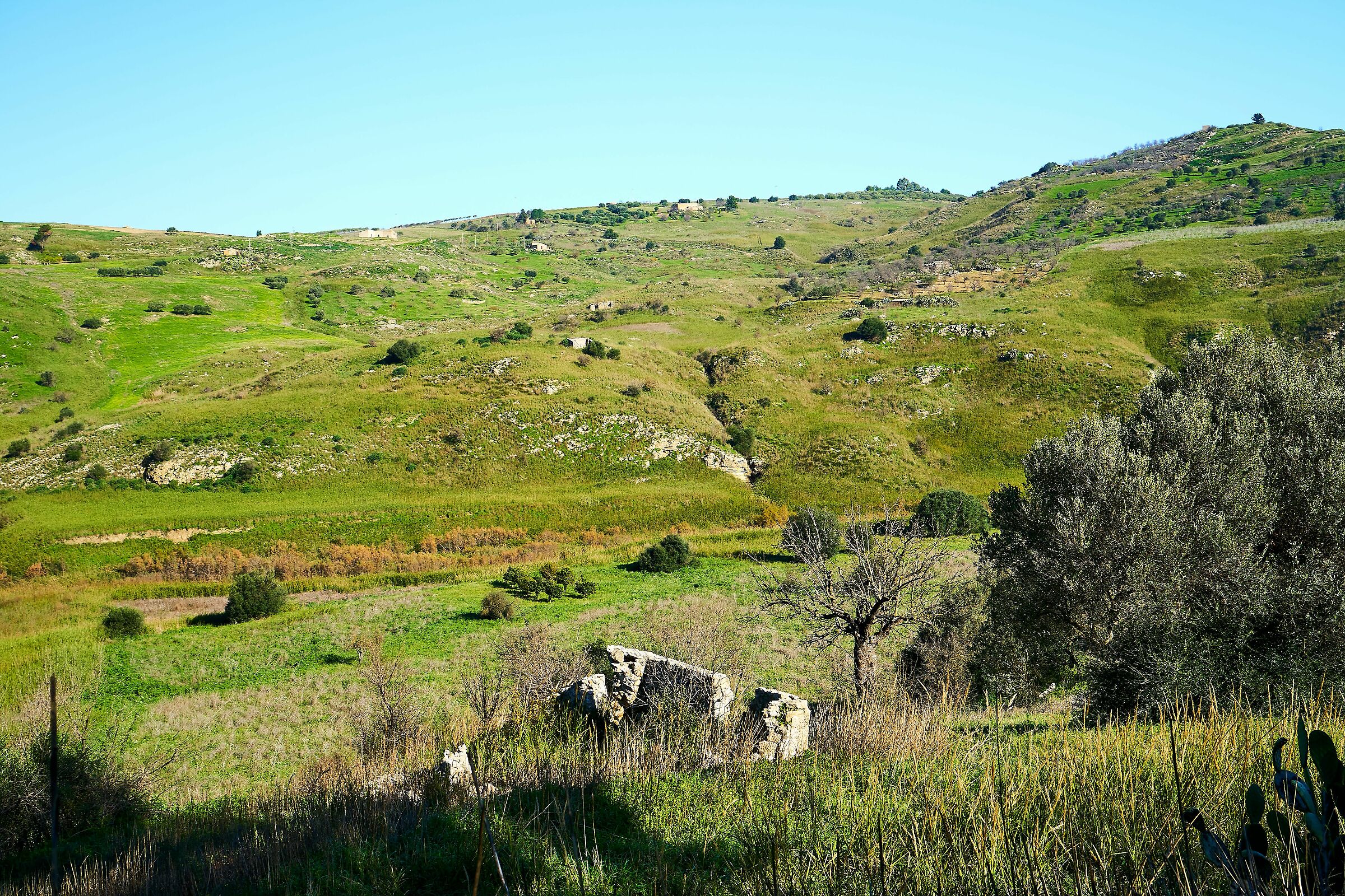 Valle dei Sicani: Natale 2019 sponde del Platani