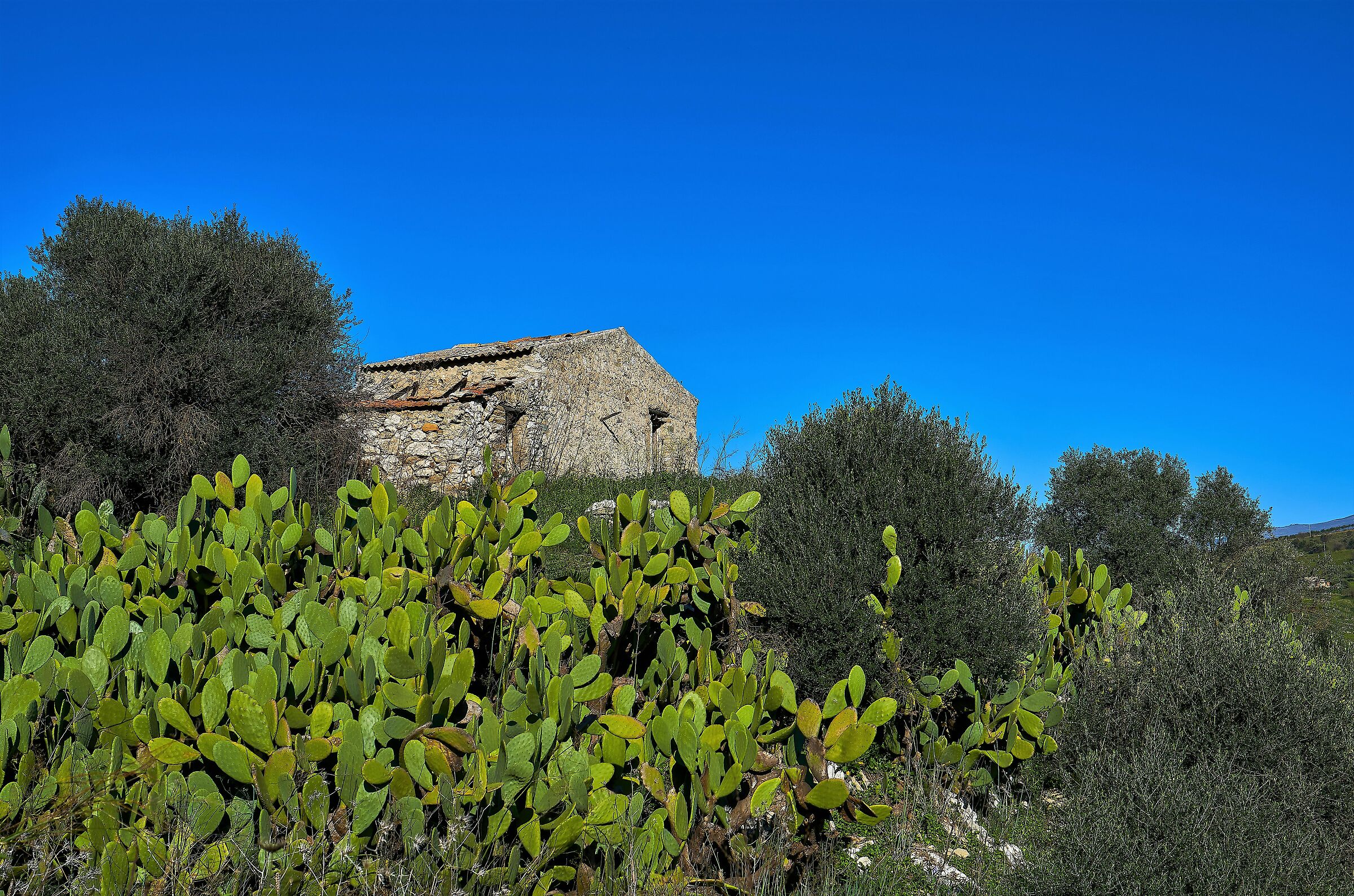 Sican Valley: Christmas 2019 cottage