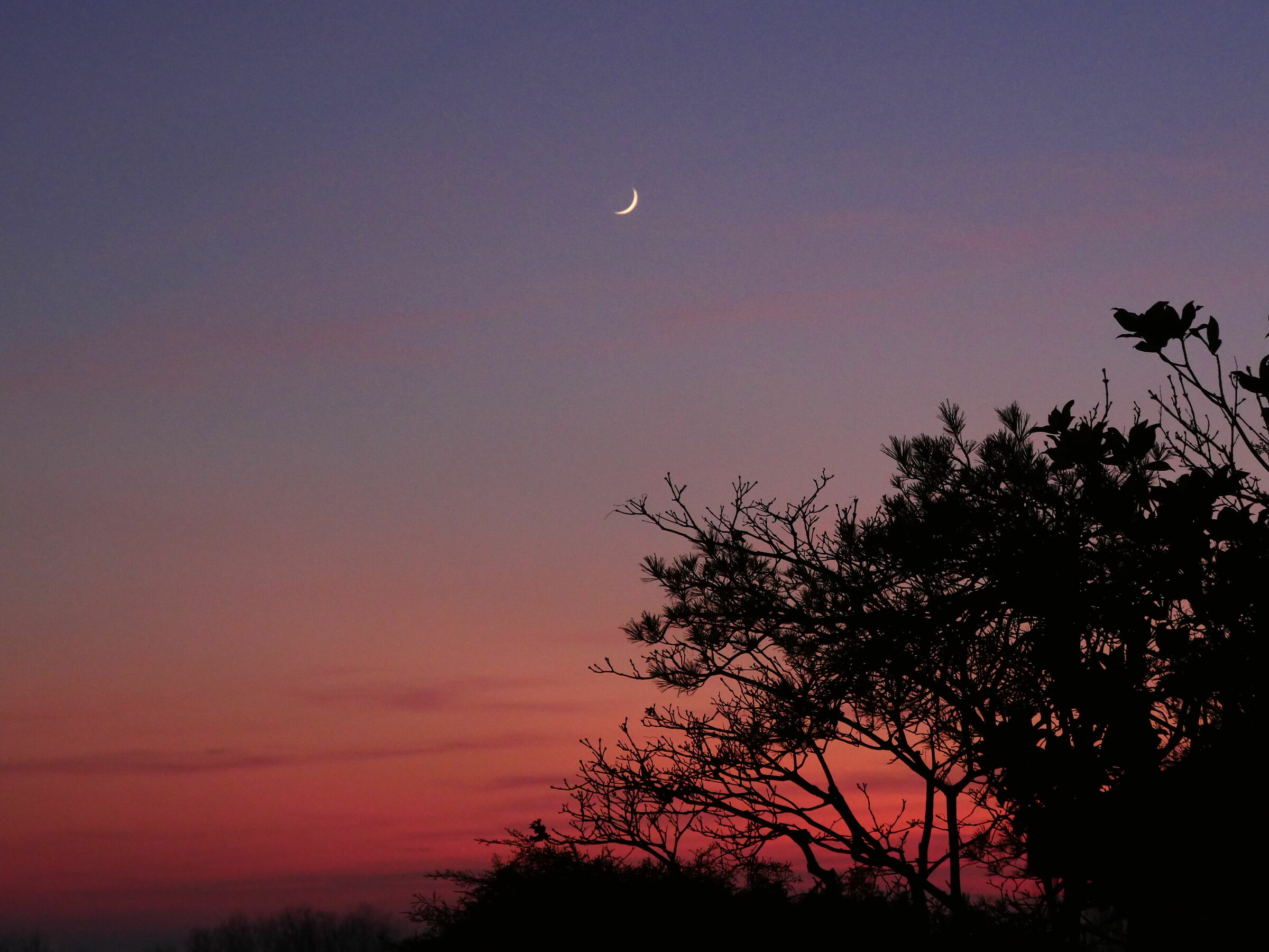 Tramonto invernale con spicchio di Luna 2019
