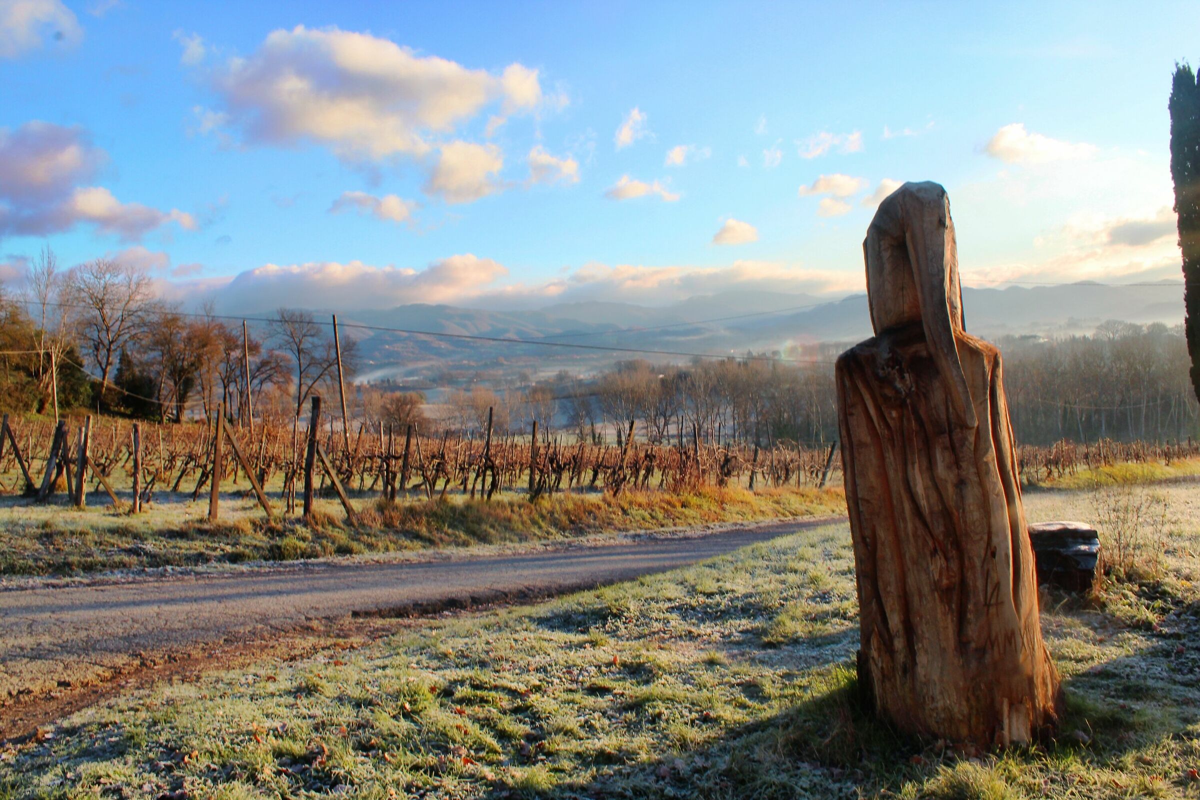 Giotto looks towards Vicchio