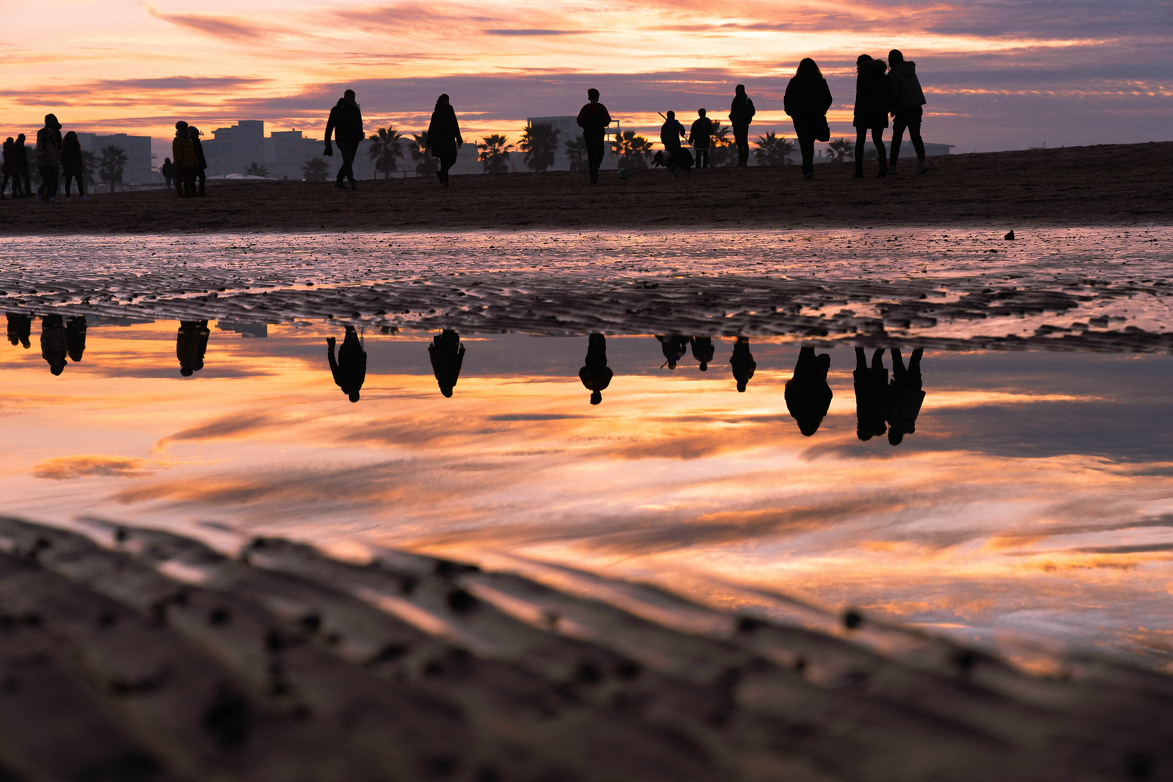 Reflection at sunset