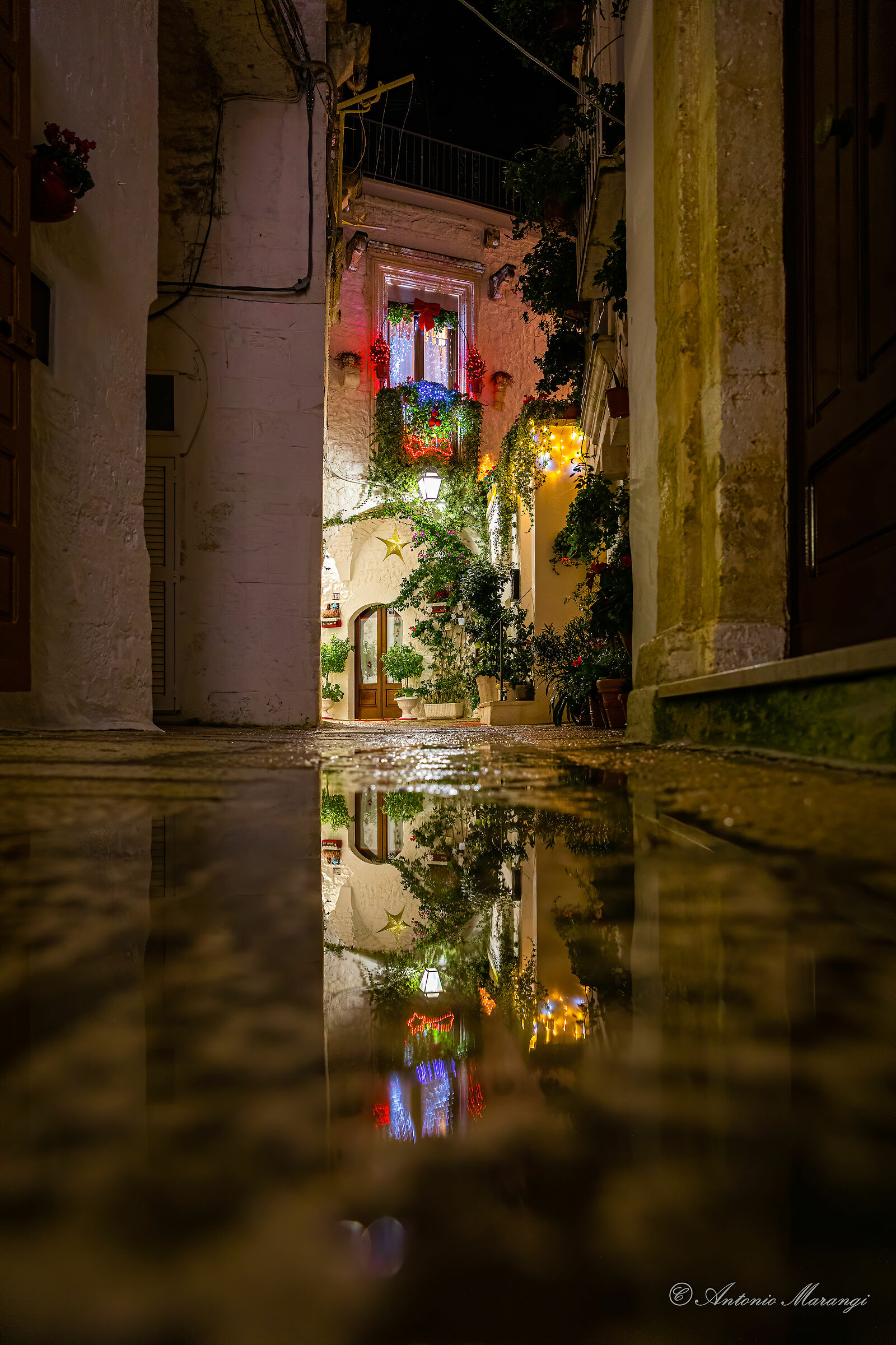 Christmas Reflections