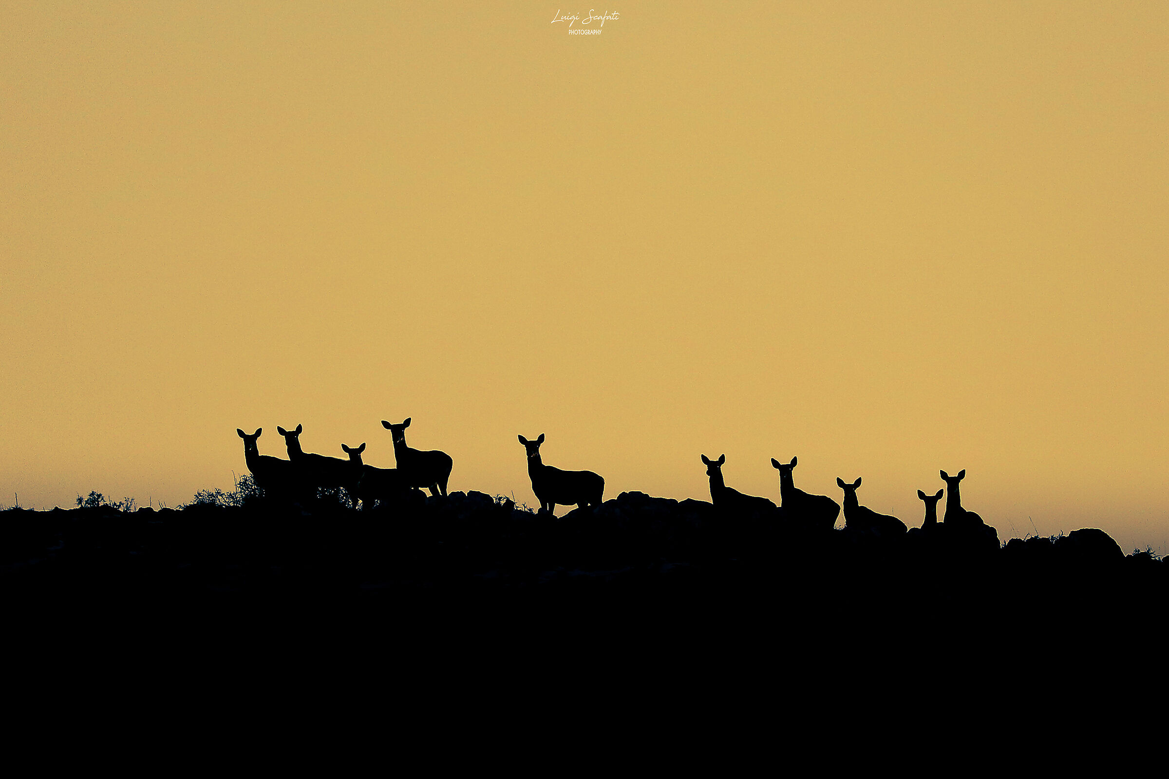 Incontri al tramonto