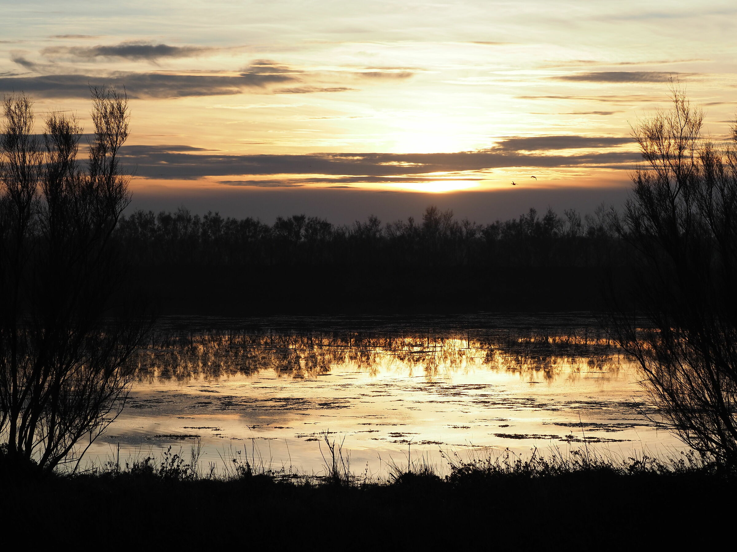 Boccasette verso il tramonto