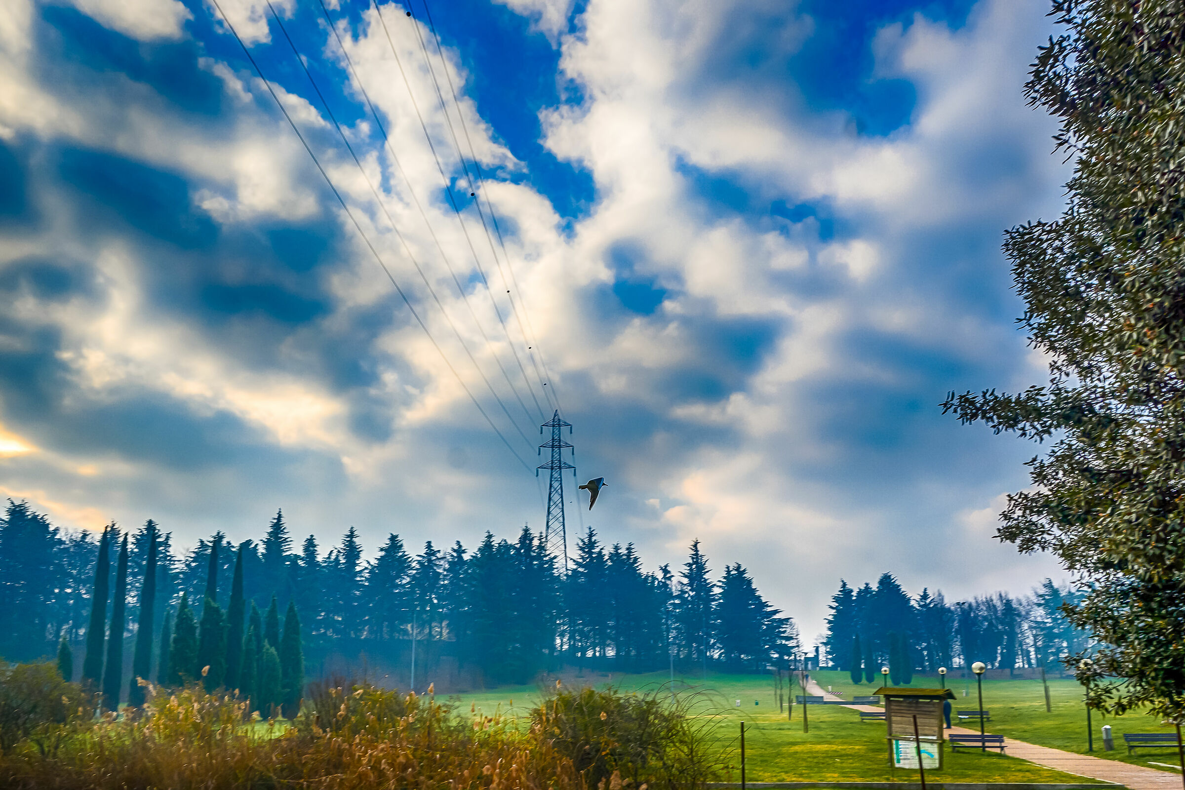 Parco nord Paderno Dugnano