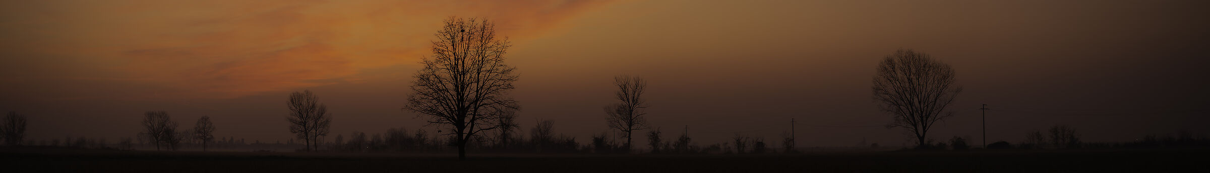 Like in the Savannah.