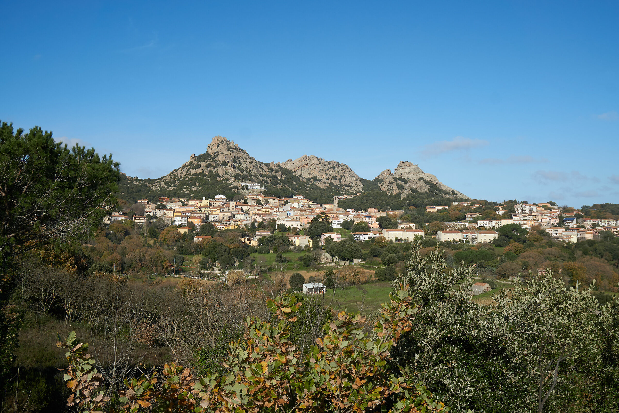 trestle sony 1670 24mm f8 side dx