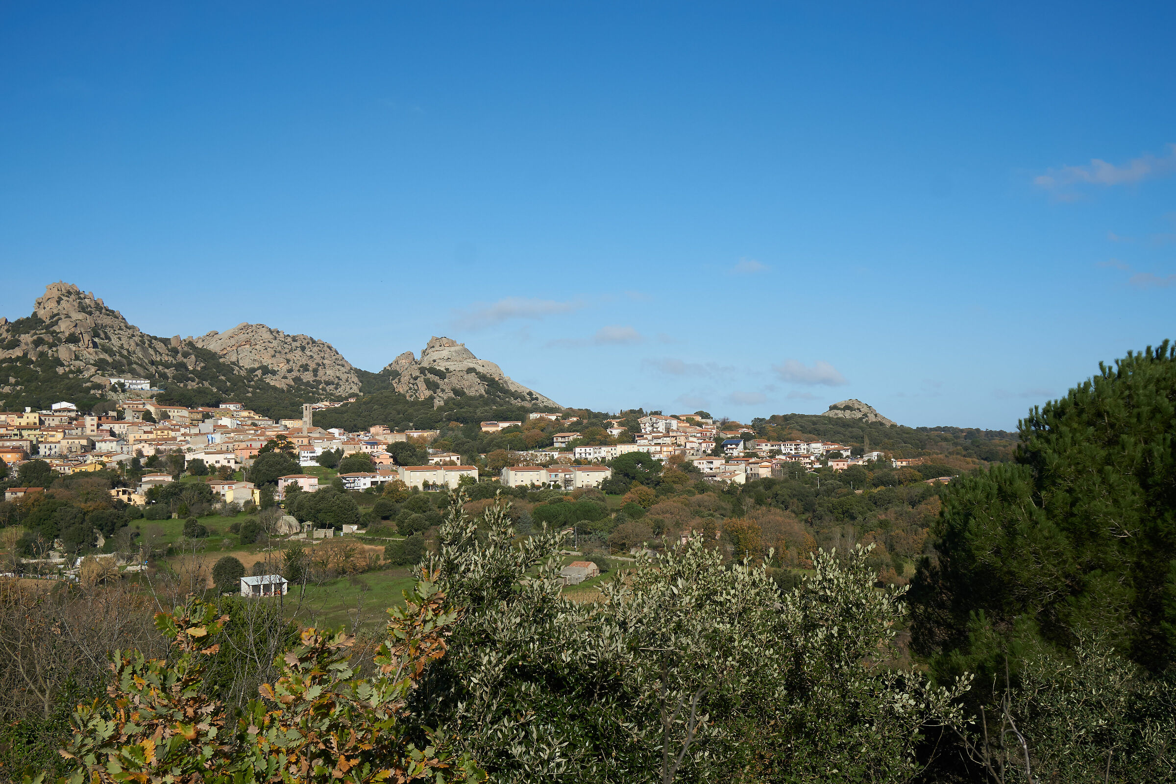 trestle sony 1670 24mm f8 side left