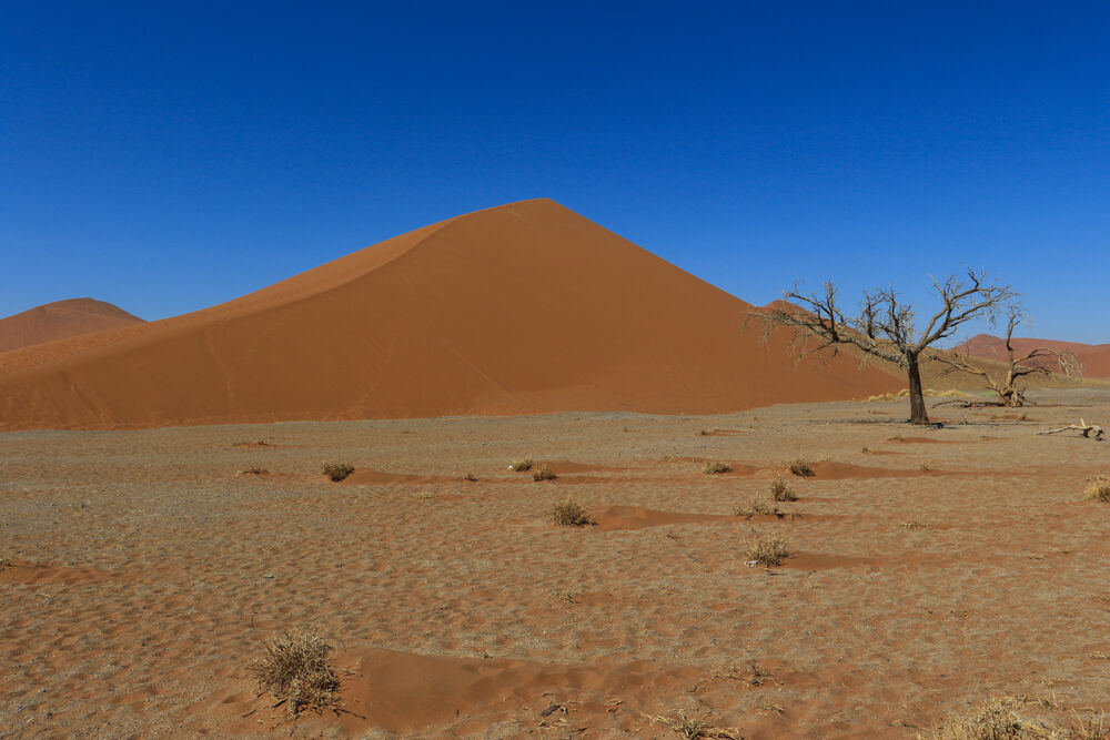 Sossusvlei