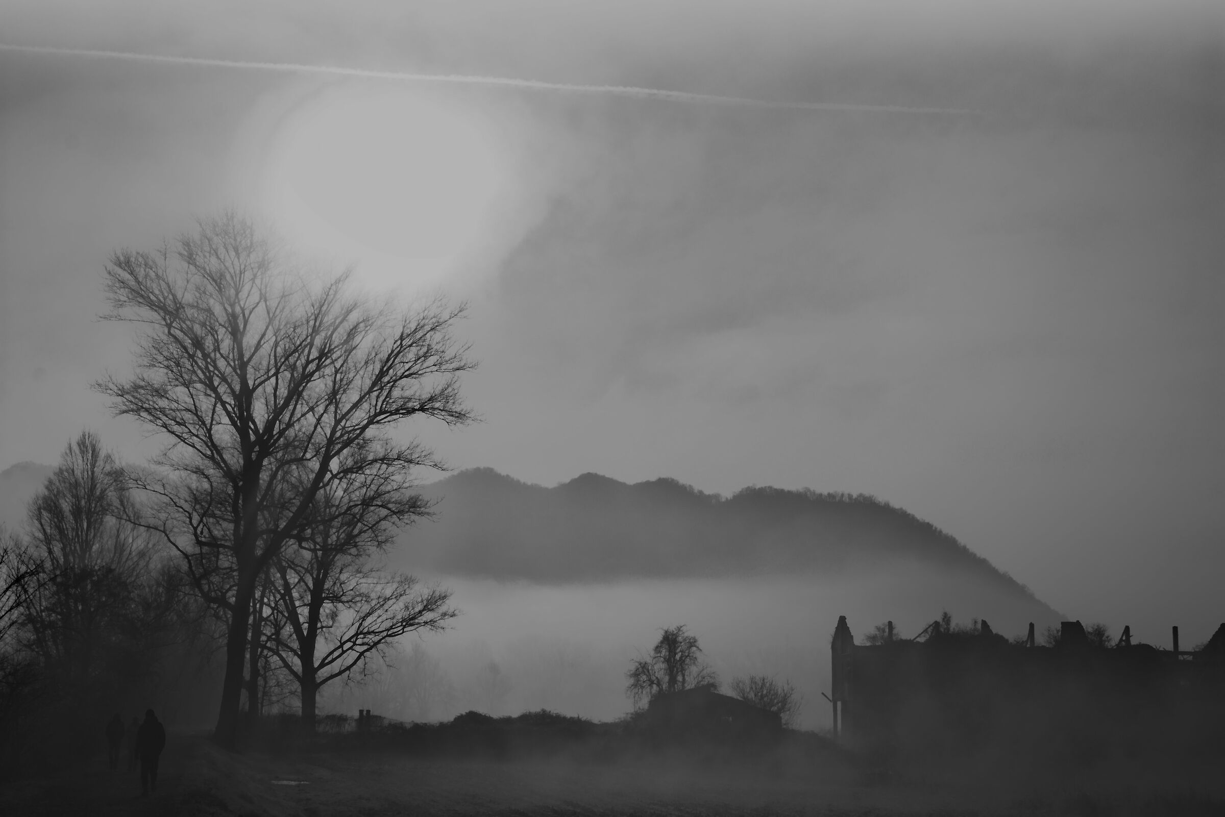 Misty Morning, New York