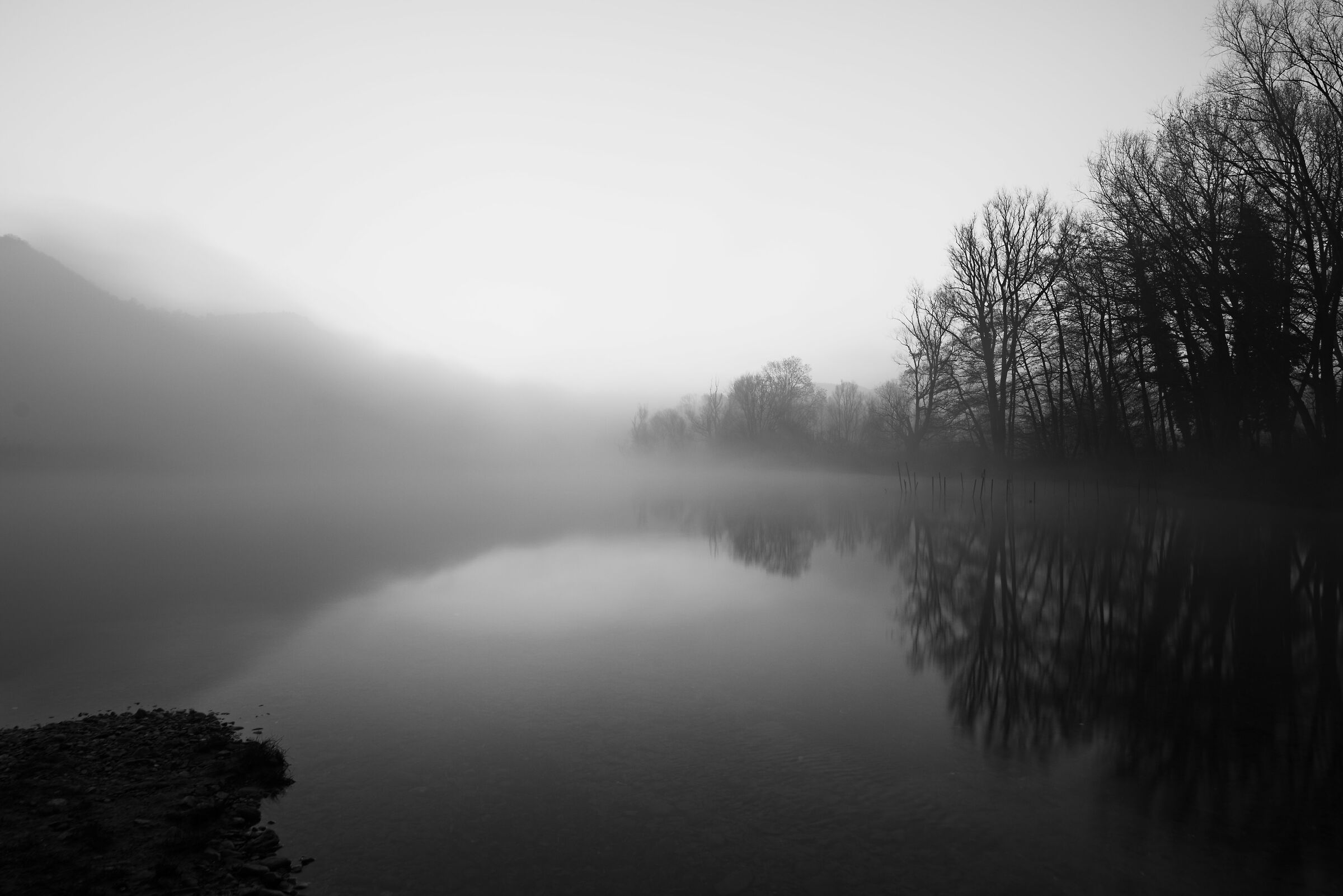 Black and white brivio