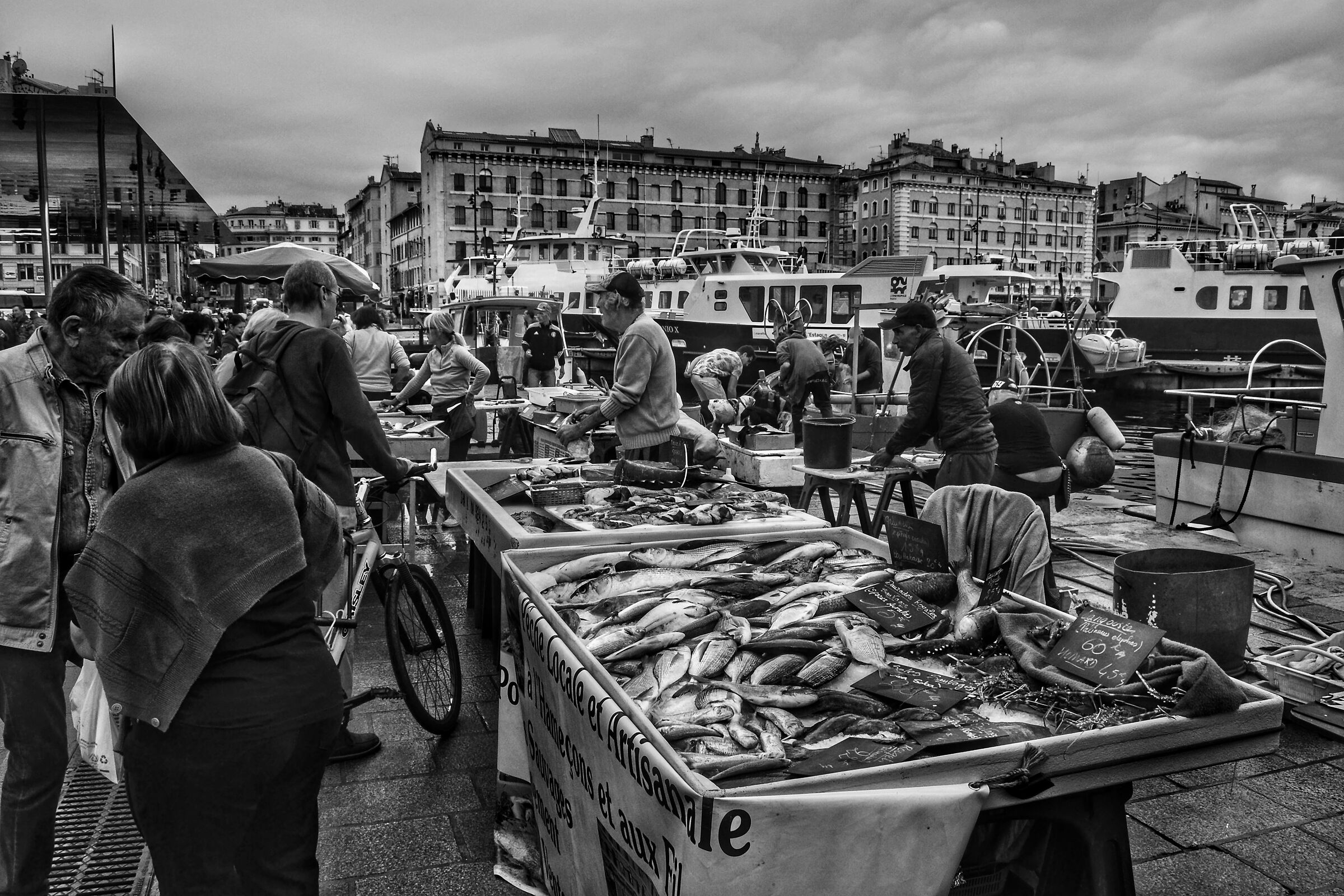 Marseille Fish Market