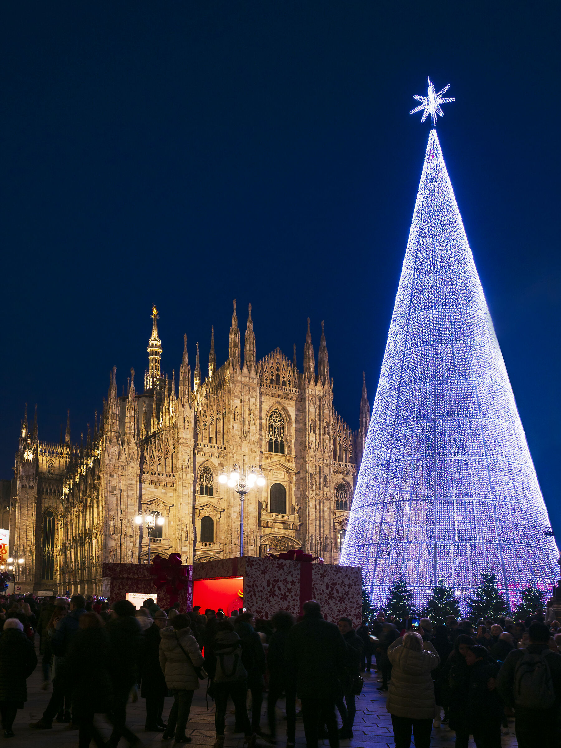 Christmas tree in Cathedral Square