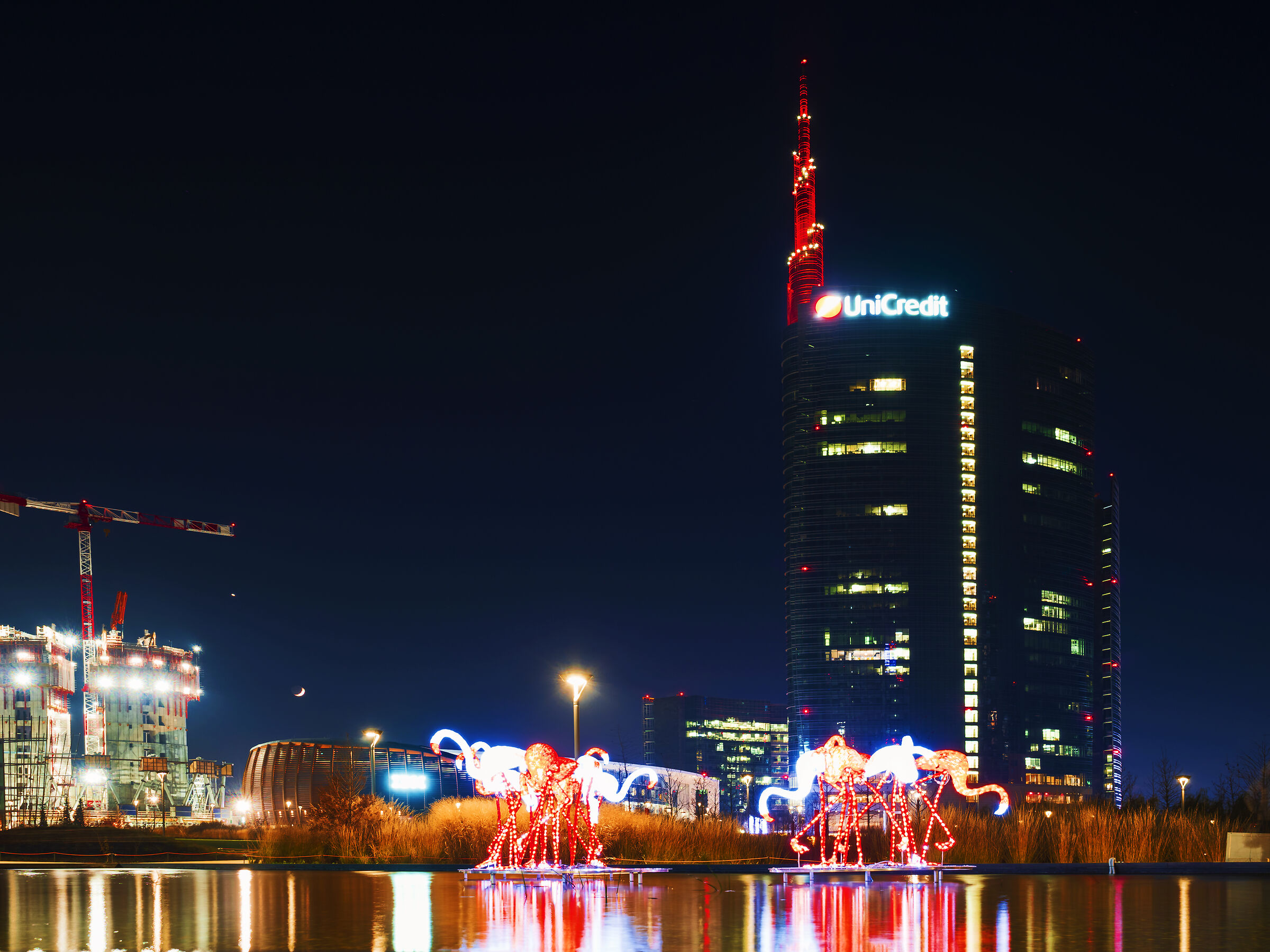 Fenicotteri di Natale