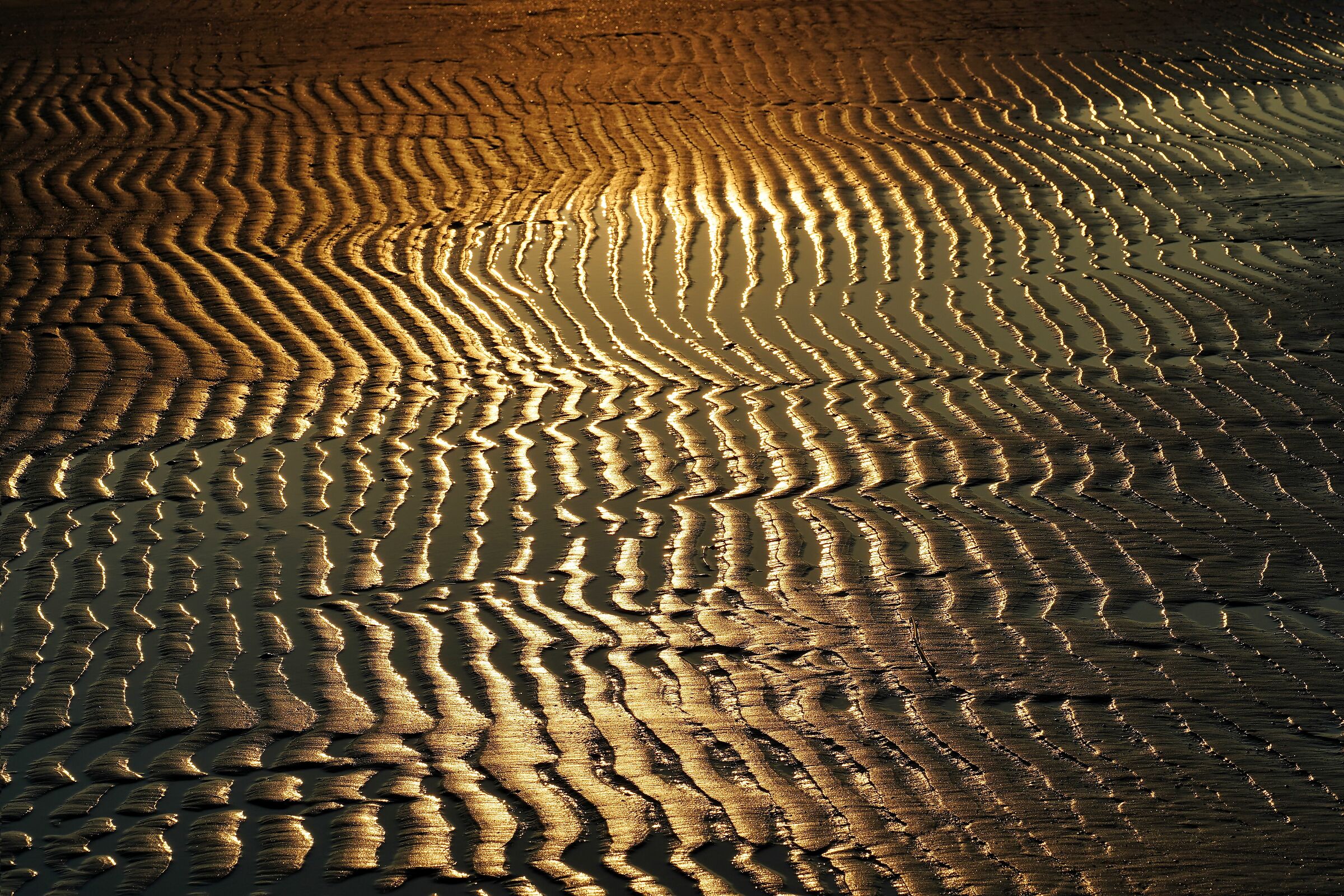 ... Towards the evening...