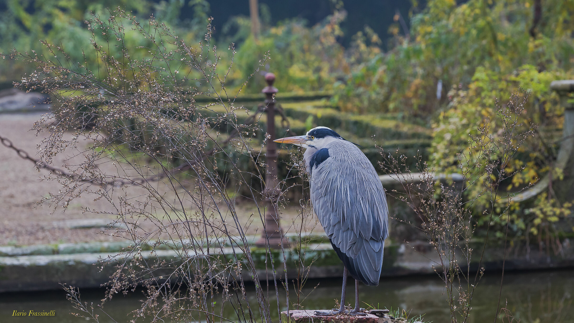 The Keeper of Boboli Gardens