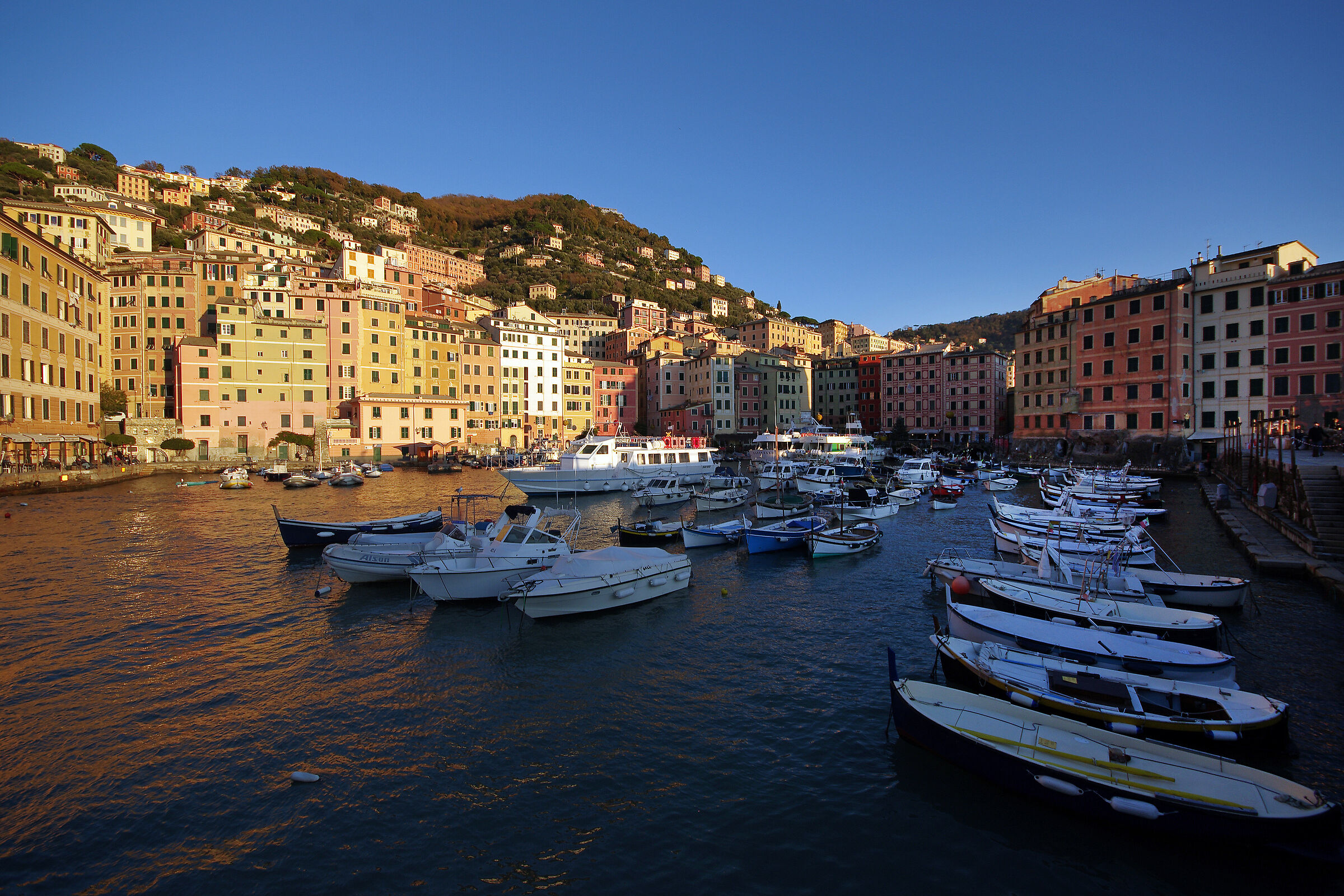 Camogli's Marina