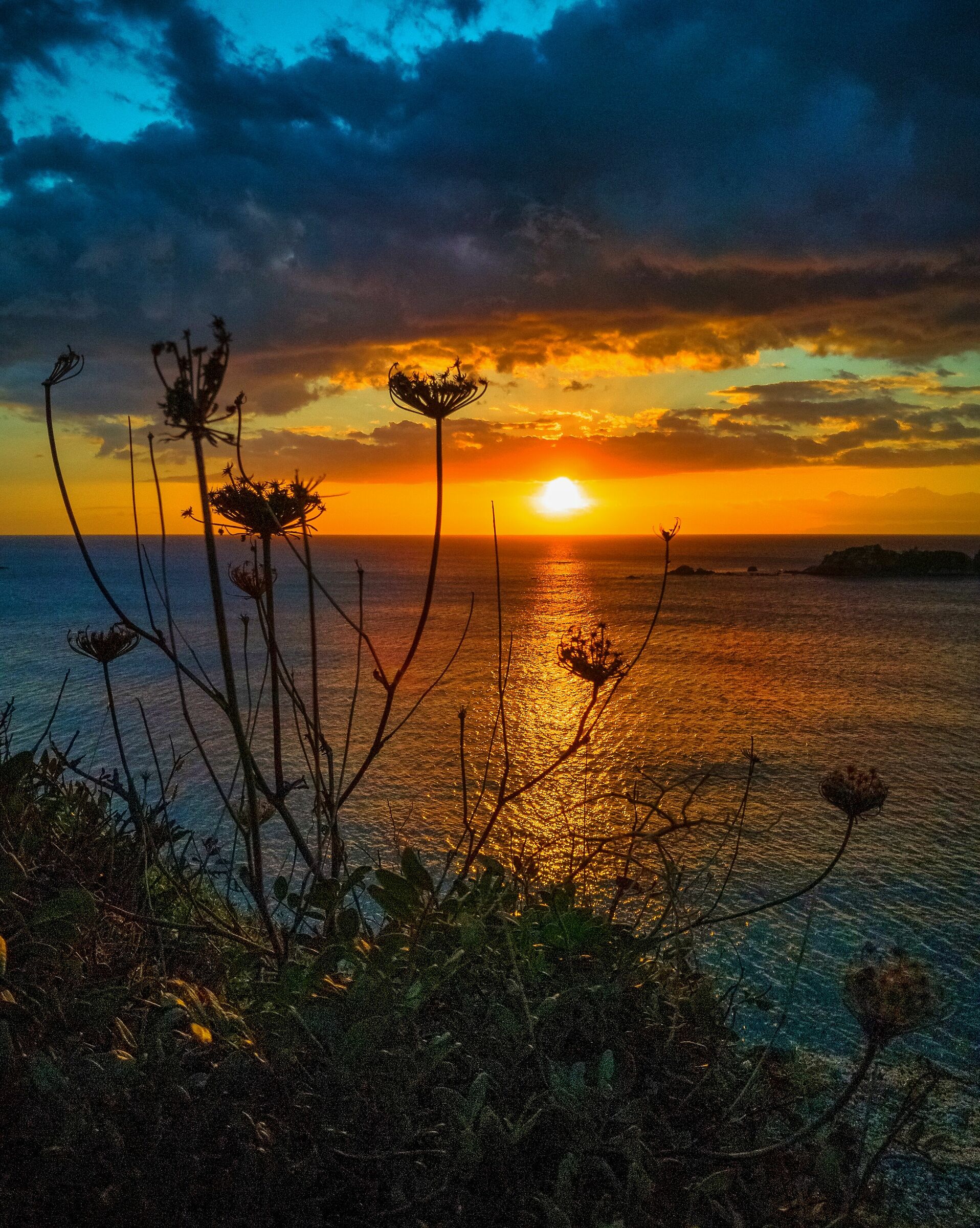 Magic Sunset, Sany, 20