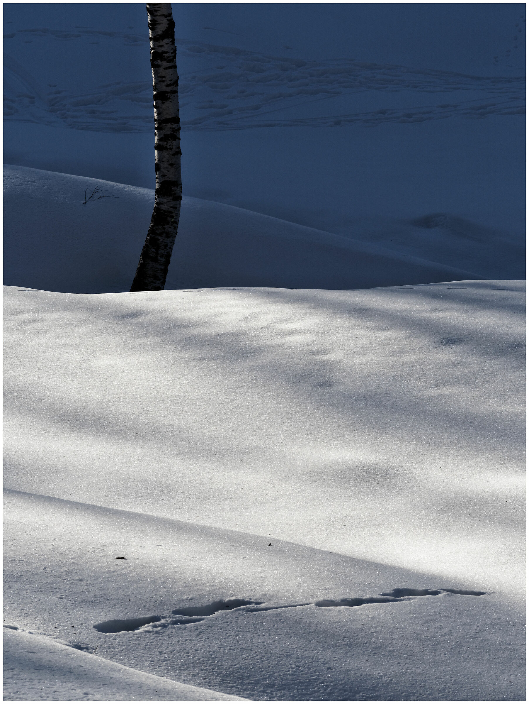 Tracks