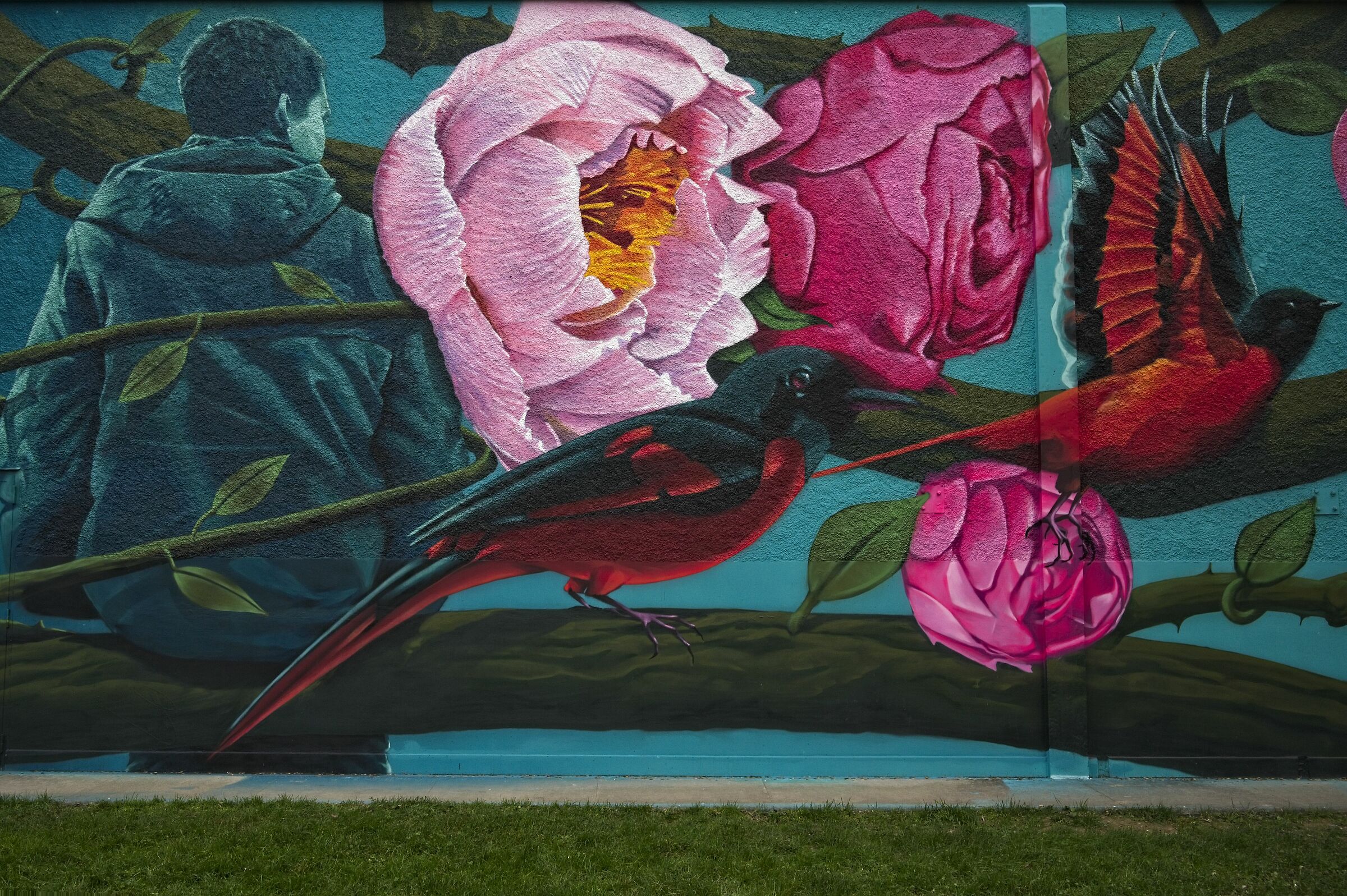 Beautiful mural dedicated to Matteo Zamboni