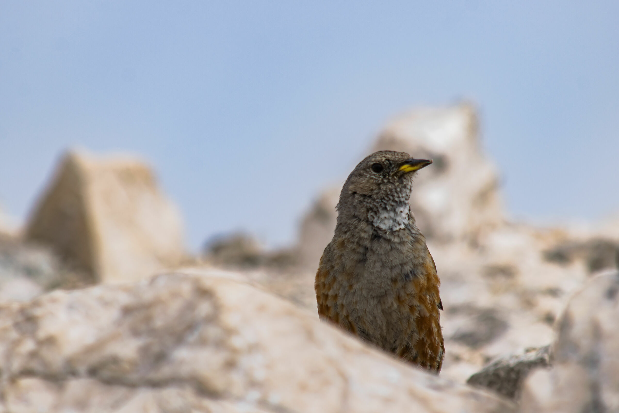 What are you looking at??