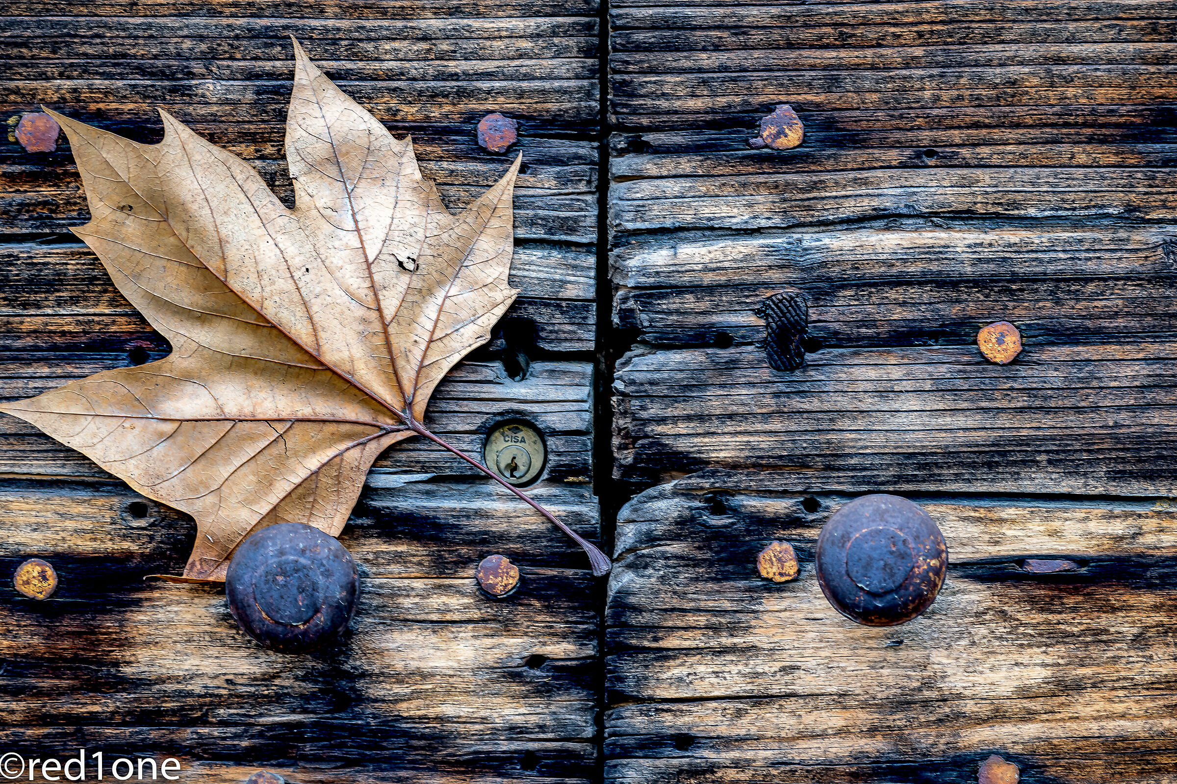 Door and leaf