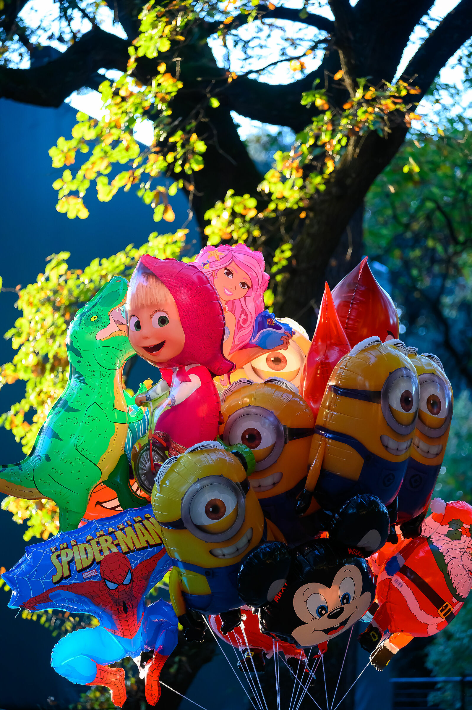 Evening meetings at the park