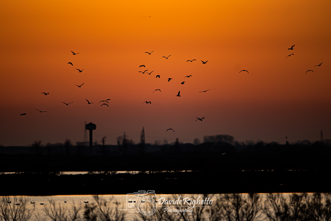 Sunset at the Delta of the Little