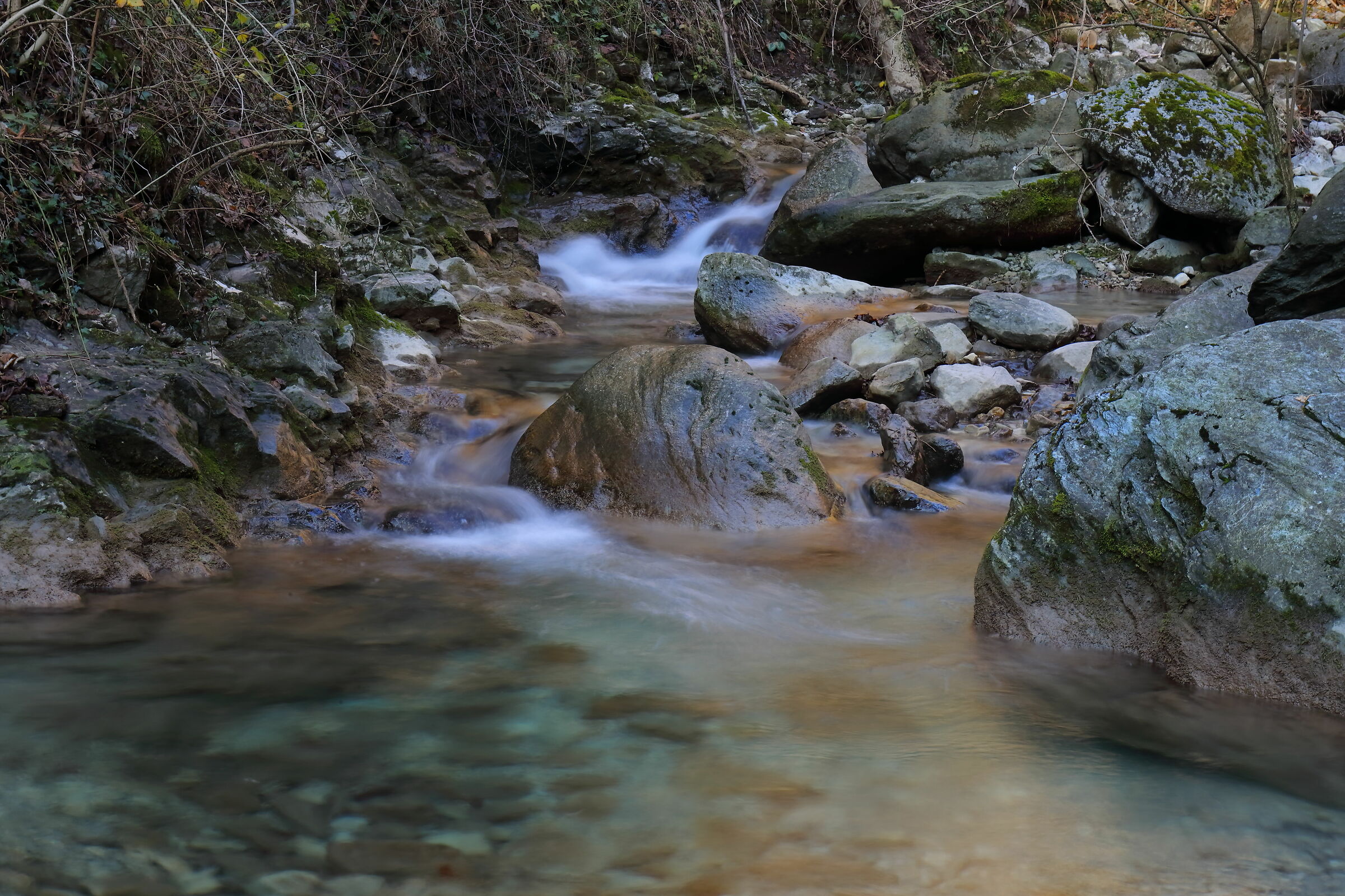 Foresta Corni di Canzo
