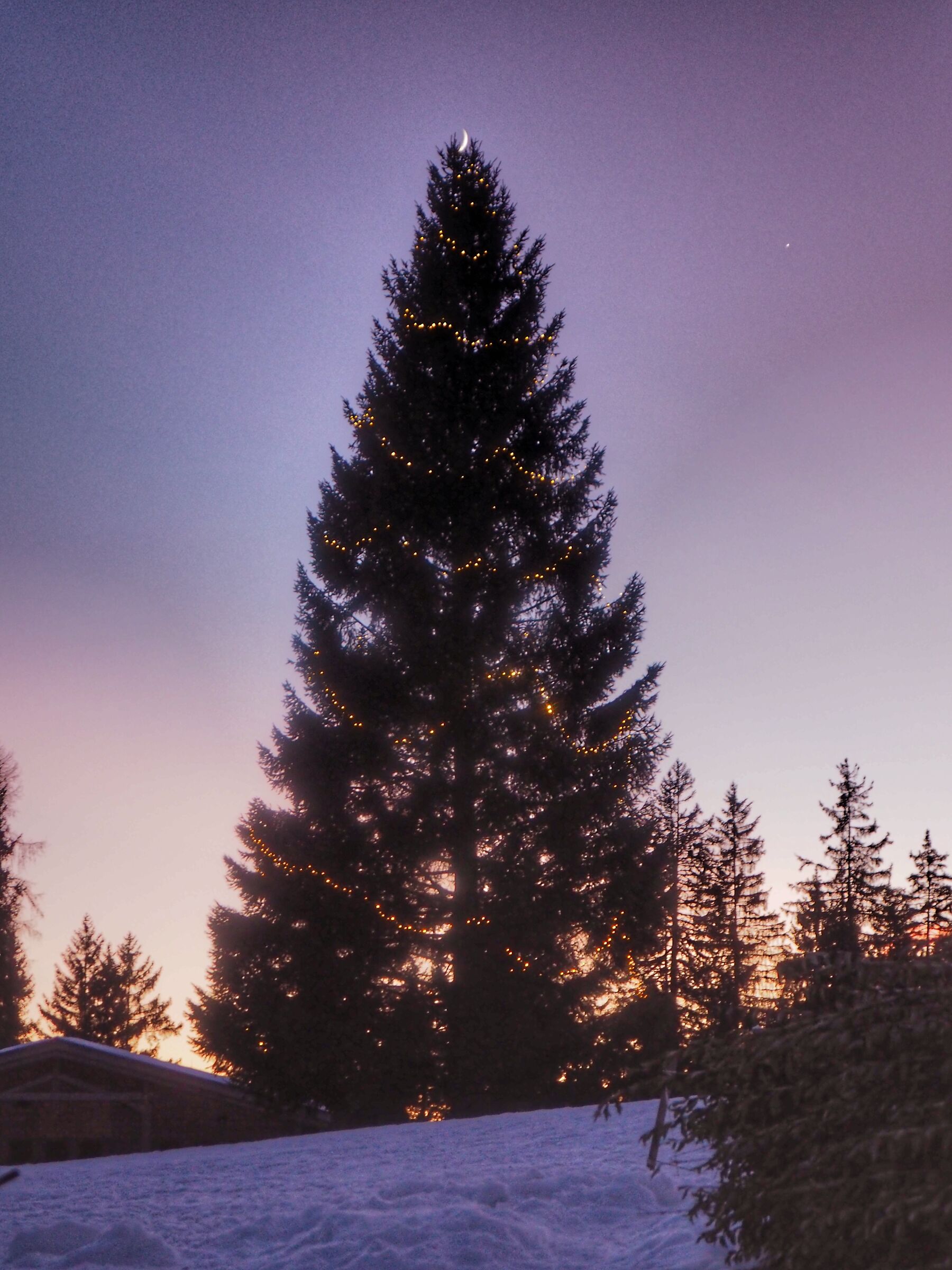 Buone feste con la luna