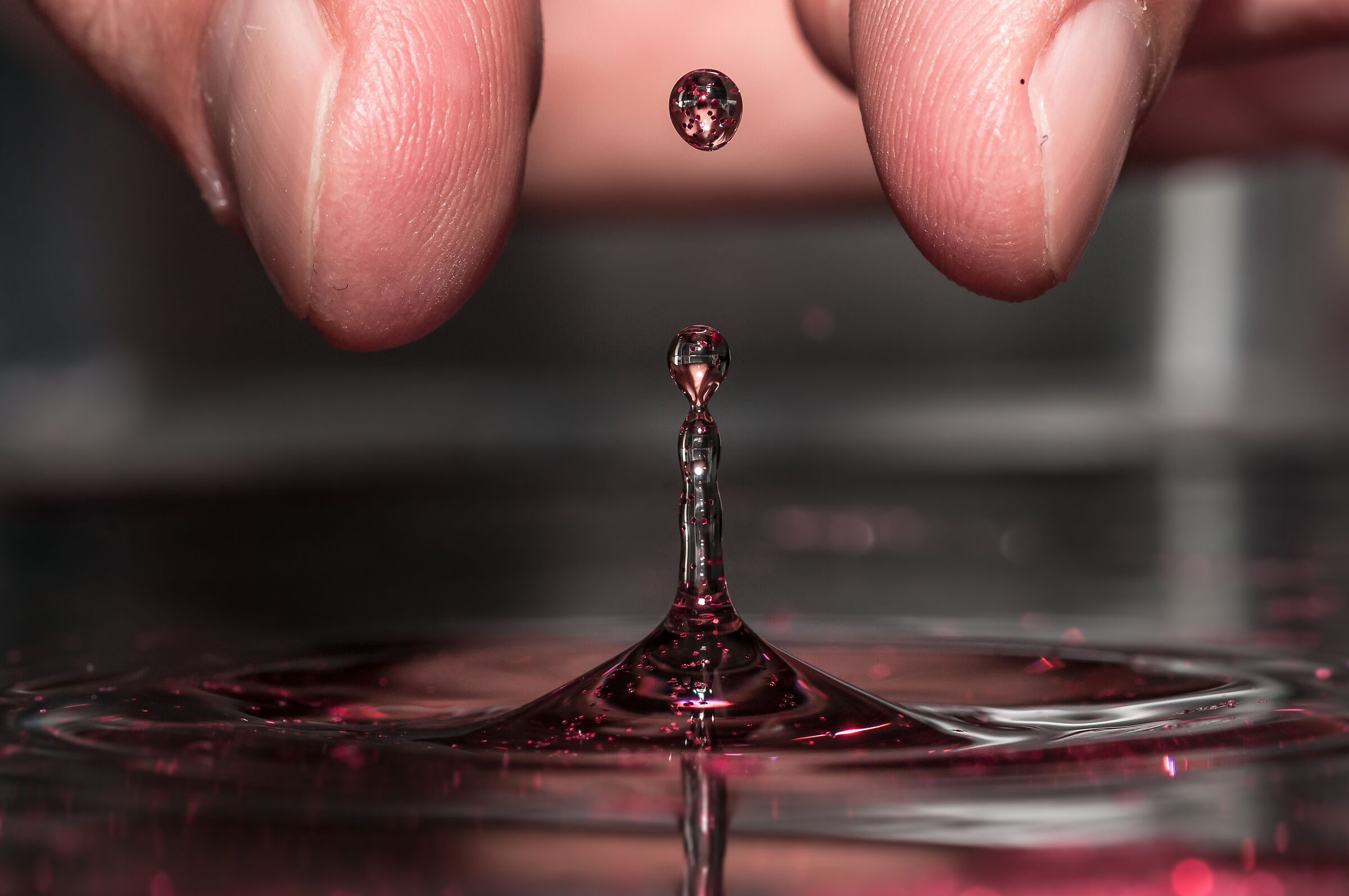 Drops Rebound Macro Fotografia Mario Jr Nicorelli
