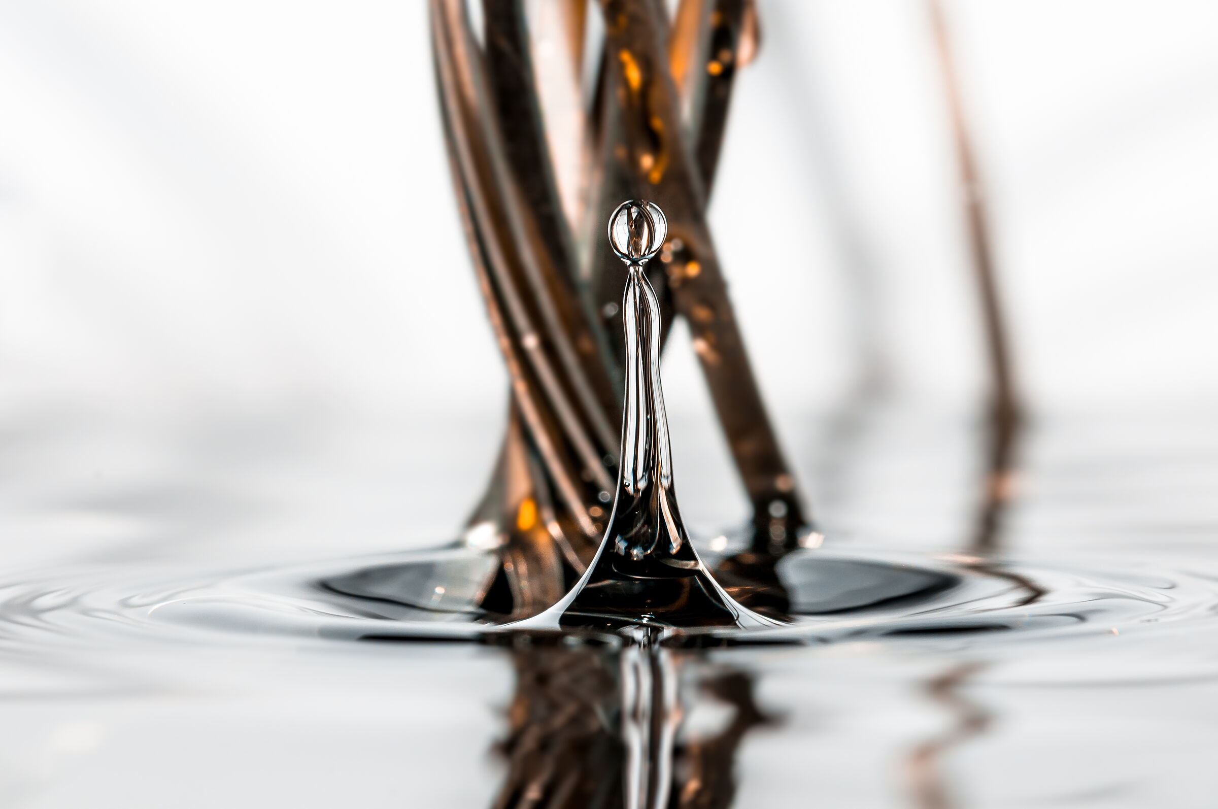 Drops Rebound Macro Fotografia Mario Jr Nicorelli