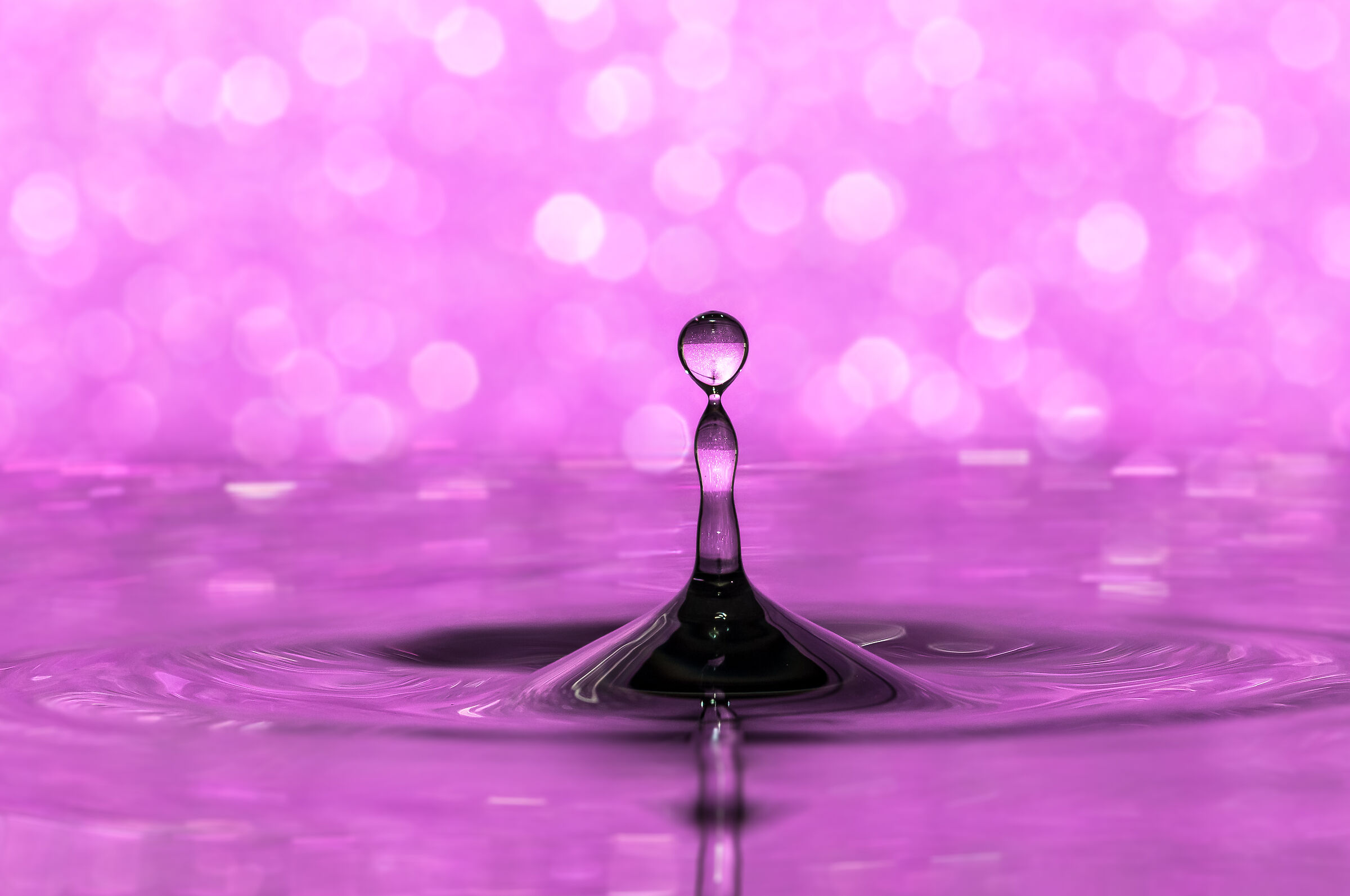 Drops Rebound Macro fotografia Mario Jr Nicorelli