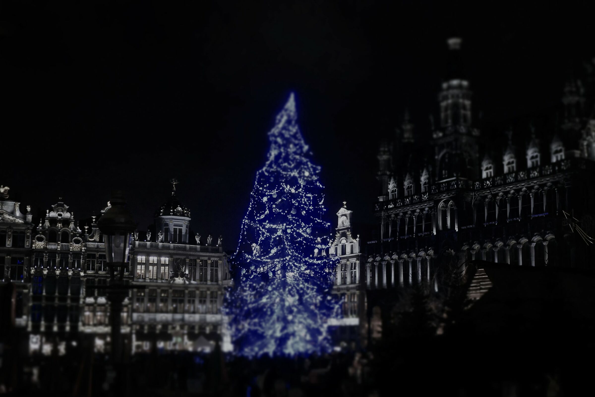Christmas in bruxelles