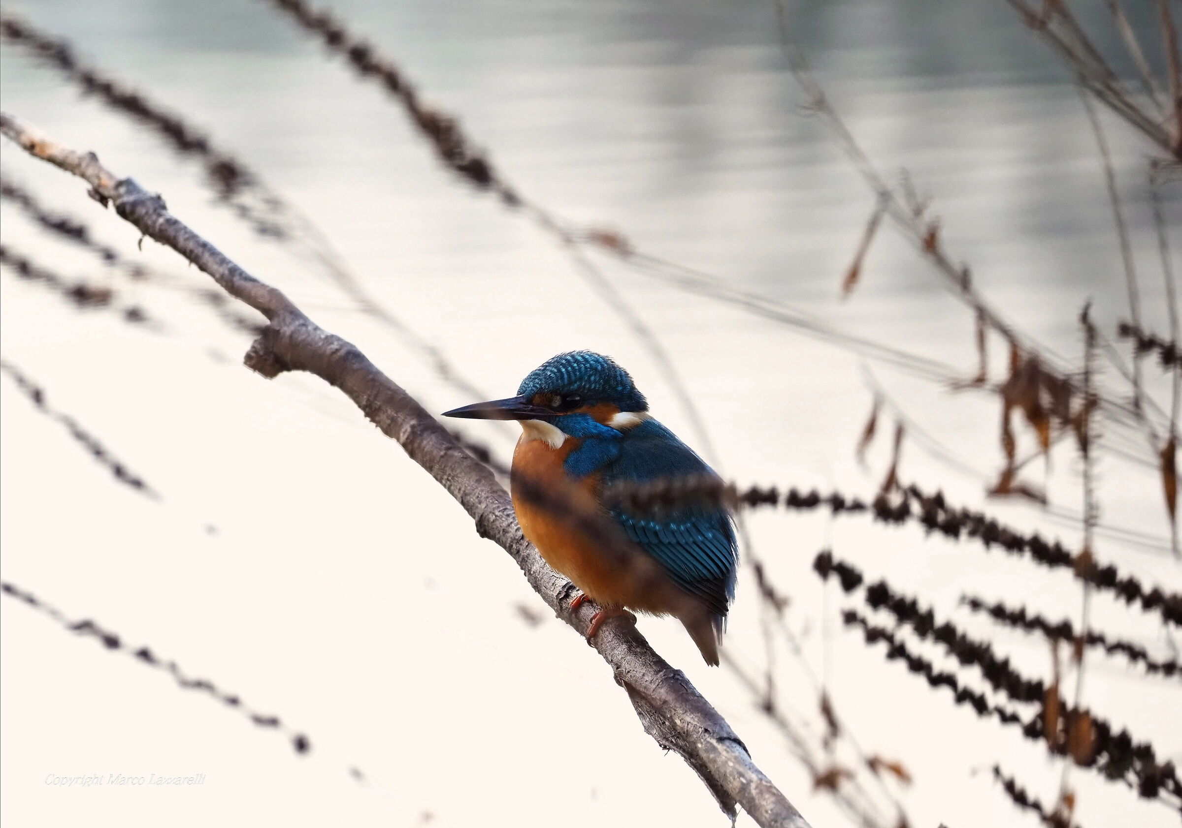 il freddo si fa sentire