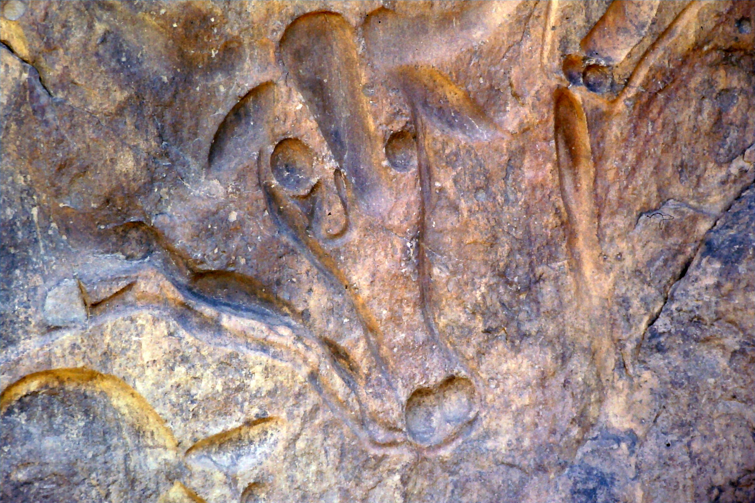 166-001 - Weeping Cow