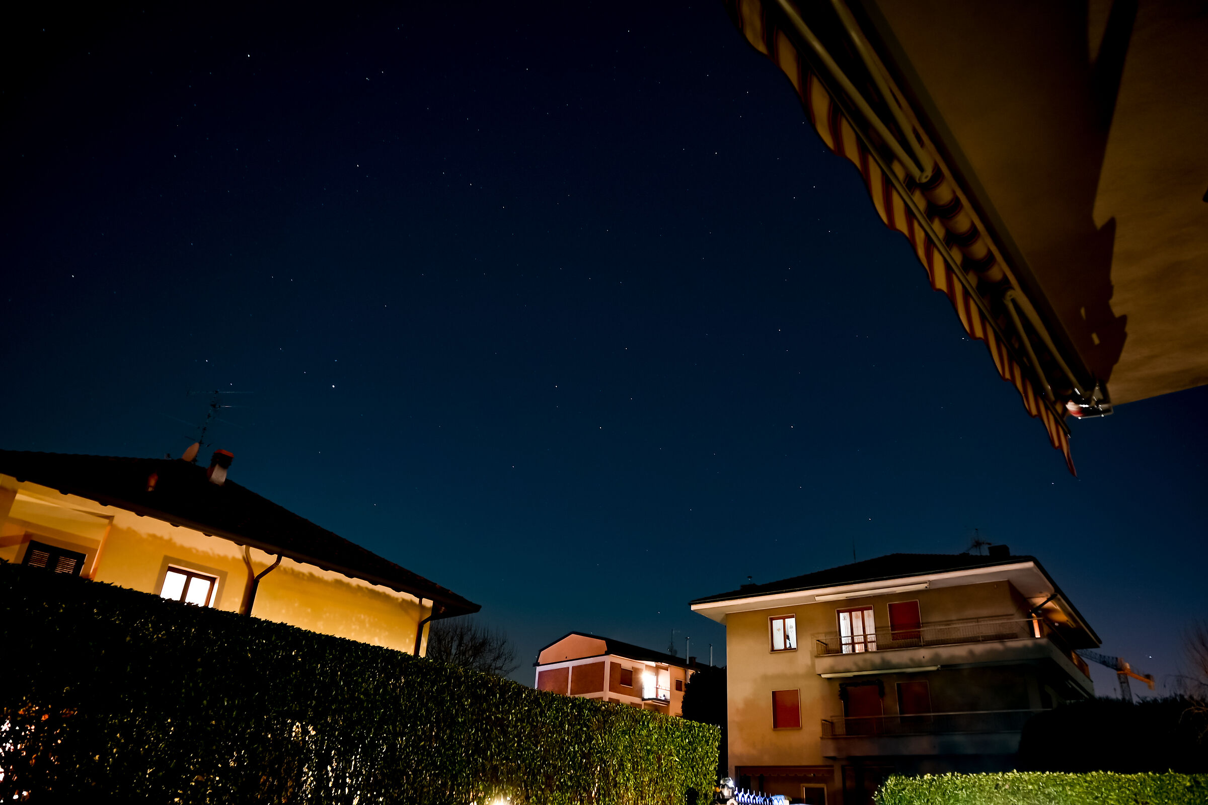 Untitled Photo