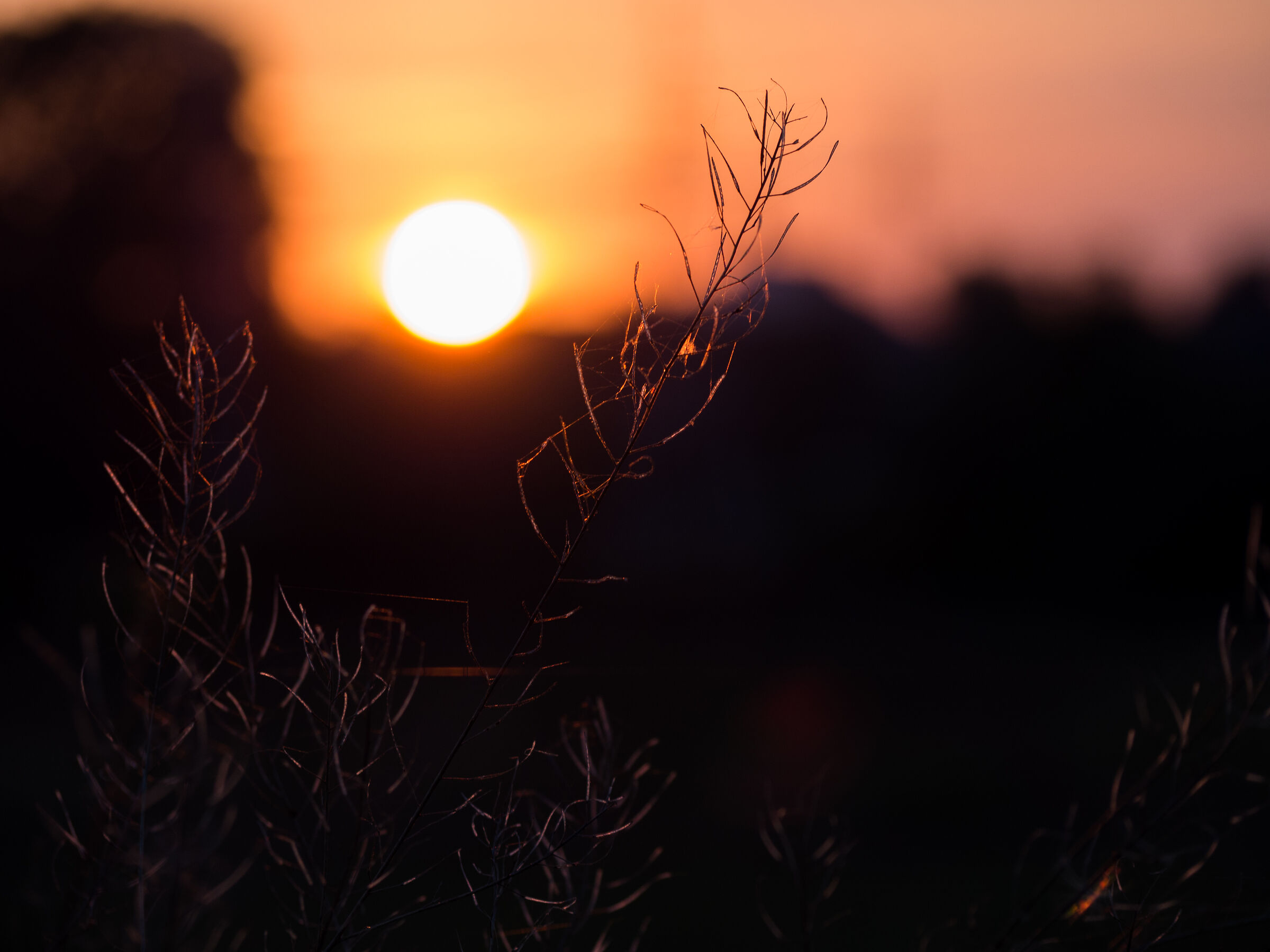 Before night .
