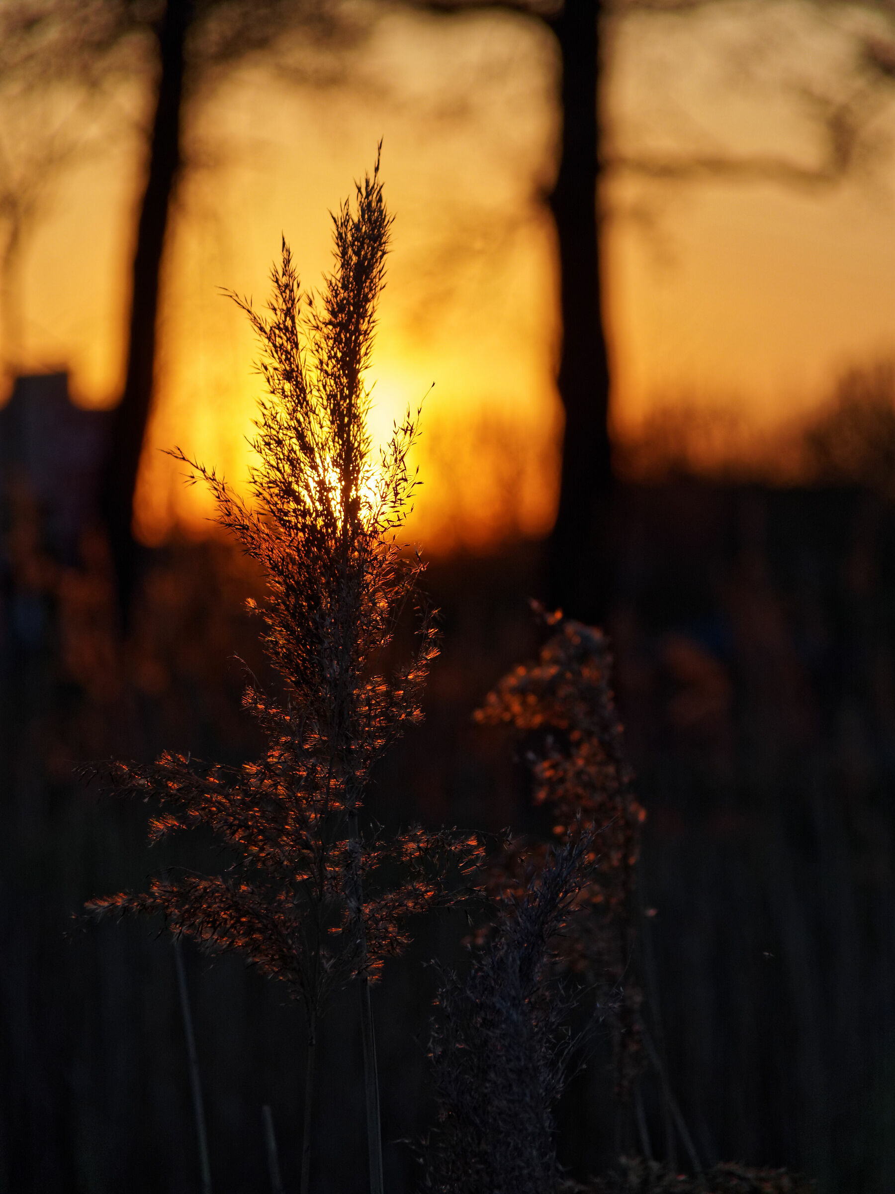 End of day .