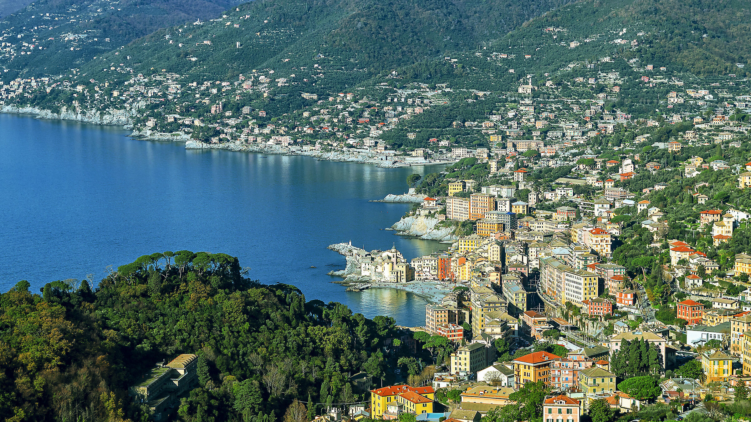 E'solo una cartolina