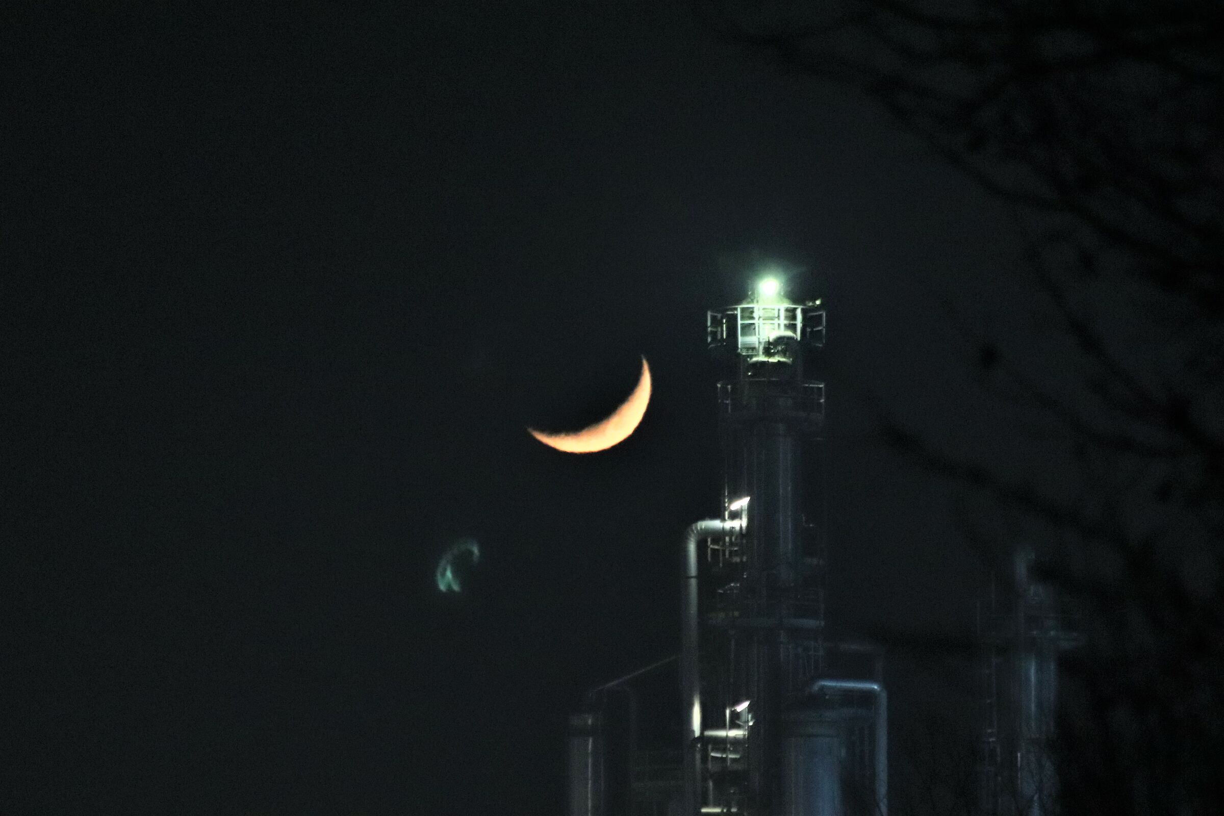 luna nova saluta il nuovo anno!