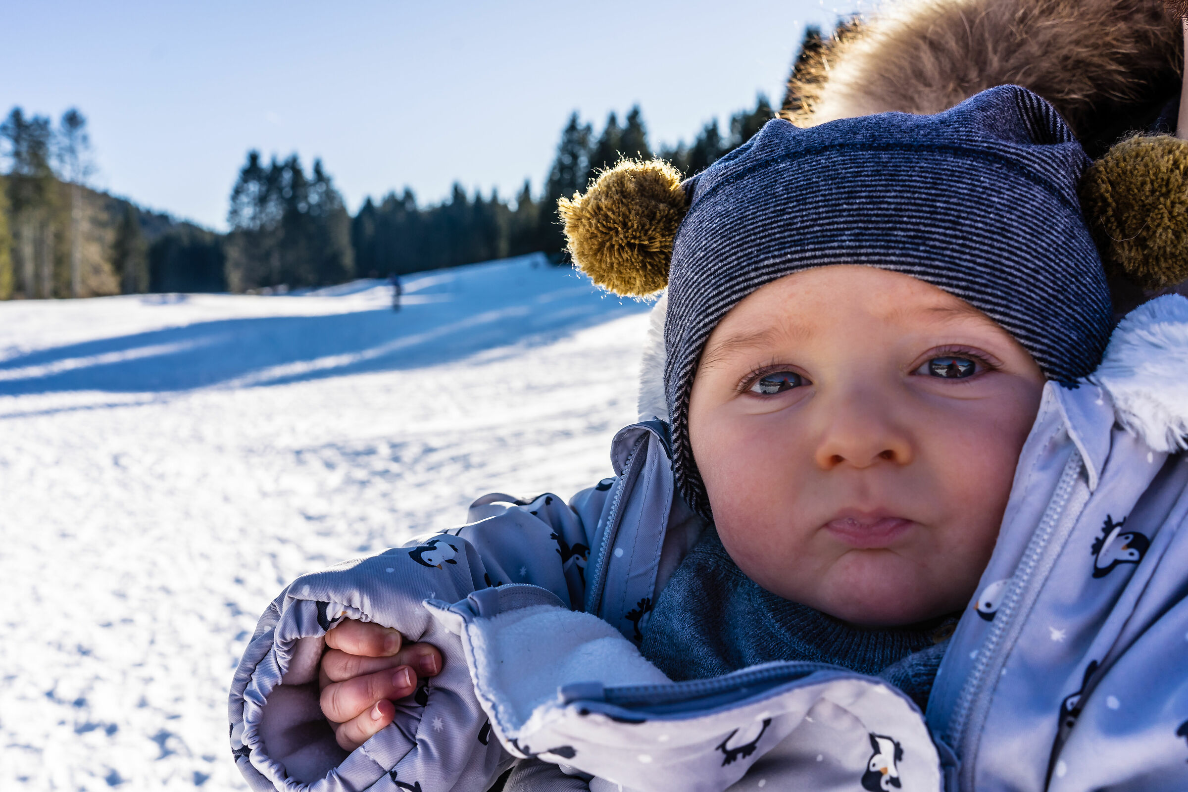 First time in the snow