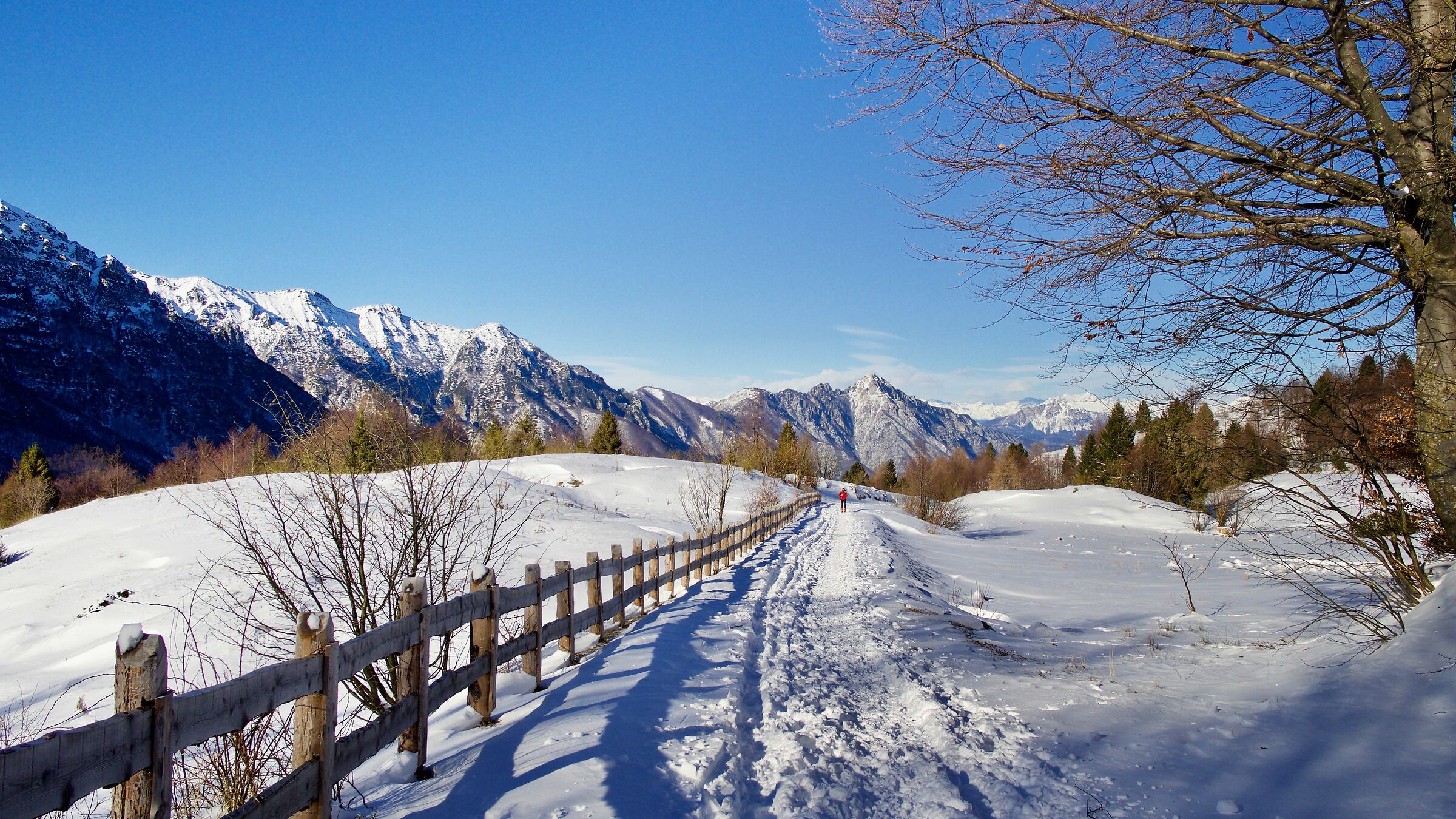 In arrivo il 2020...auguri1