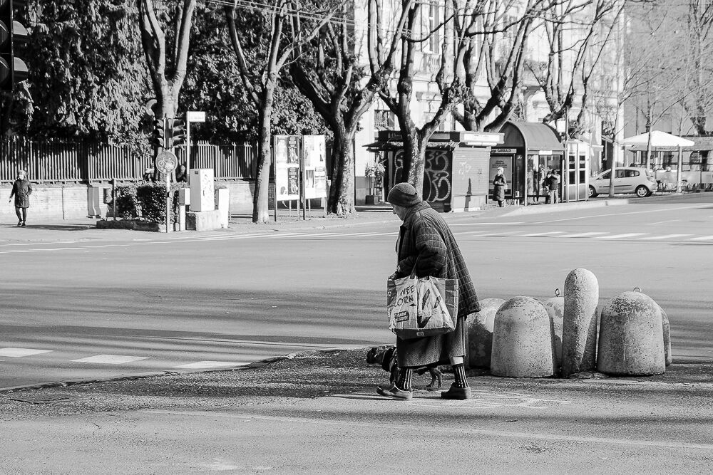 Untitled Photo